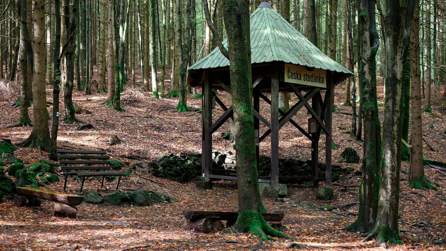 Eine Hütte und eine Bank. Ganz in der Nähe in einem Gebüsch kauerte Julia 