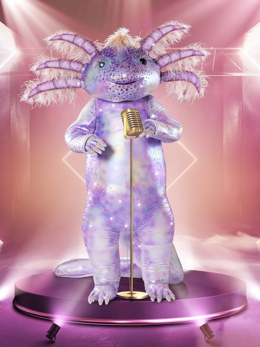 Beim Kostüm des Axolotl haben sich die Masken-Bastler von The Masked Singer wieder kräftig ins Zeug gelegt.