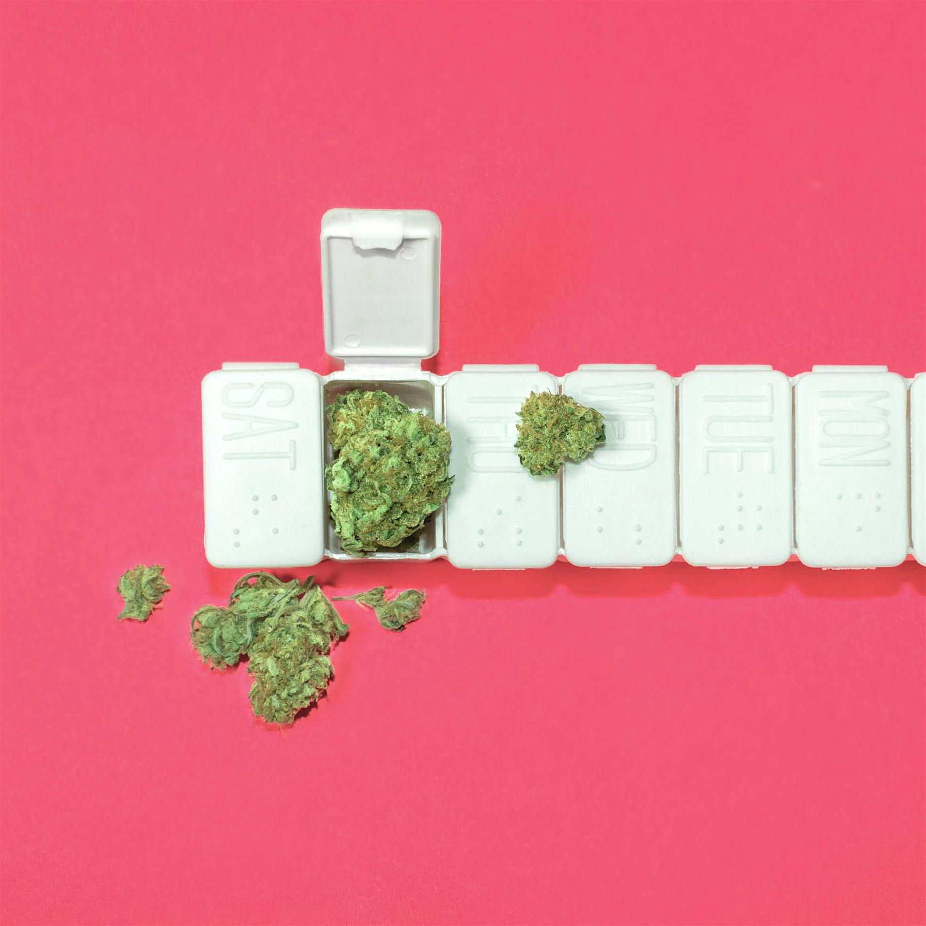 Pro & Kontra: Sollten wir Kiffen legalisieren?