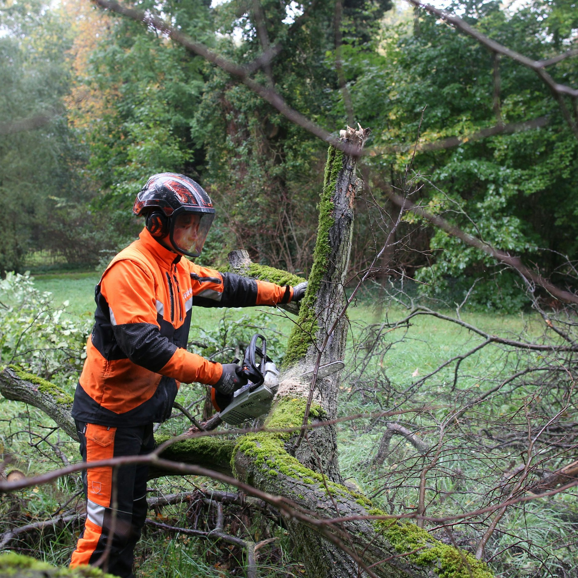 Erik Zab zersägt die heruntergestürzten Äste der Baumkrone.