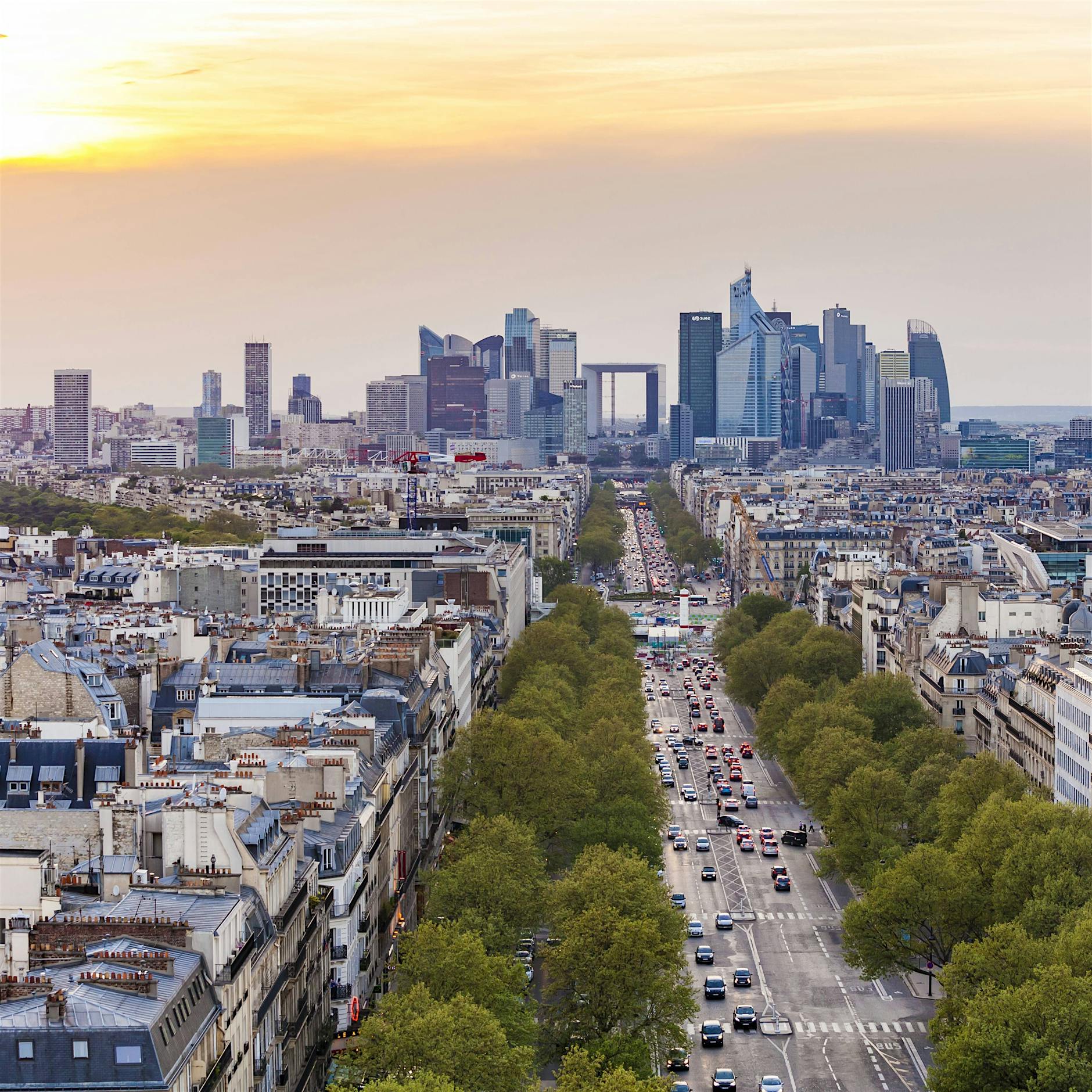 Klimawandel: Paris pflanzt Zehntausende Bäume für bessere Luft