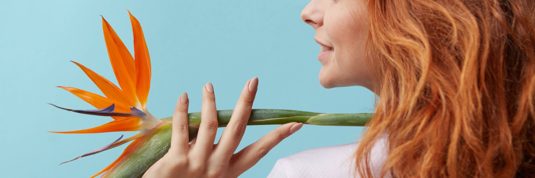 Eine Frau mit einer Strelitzien-Blüte. Die Strelitzie gehört zu den Zimmerpflanzen, die derzeit wieder im Trend sind.