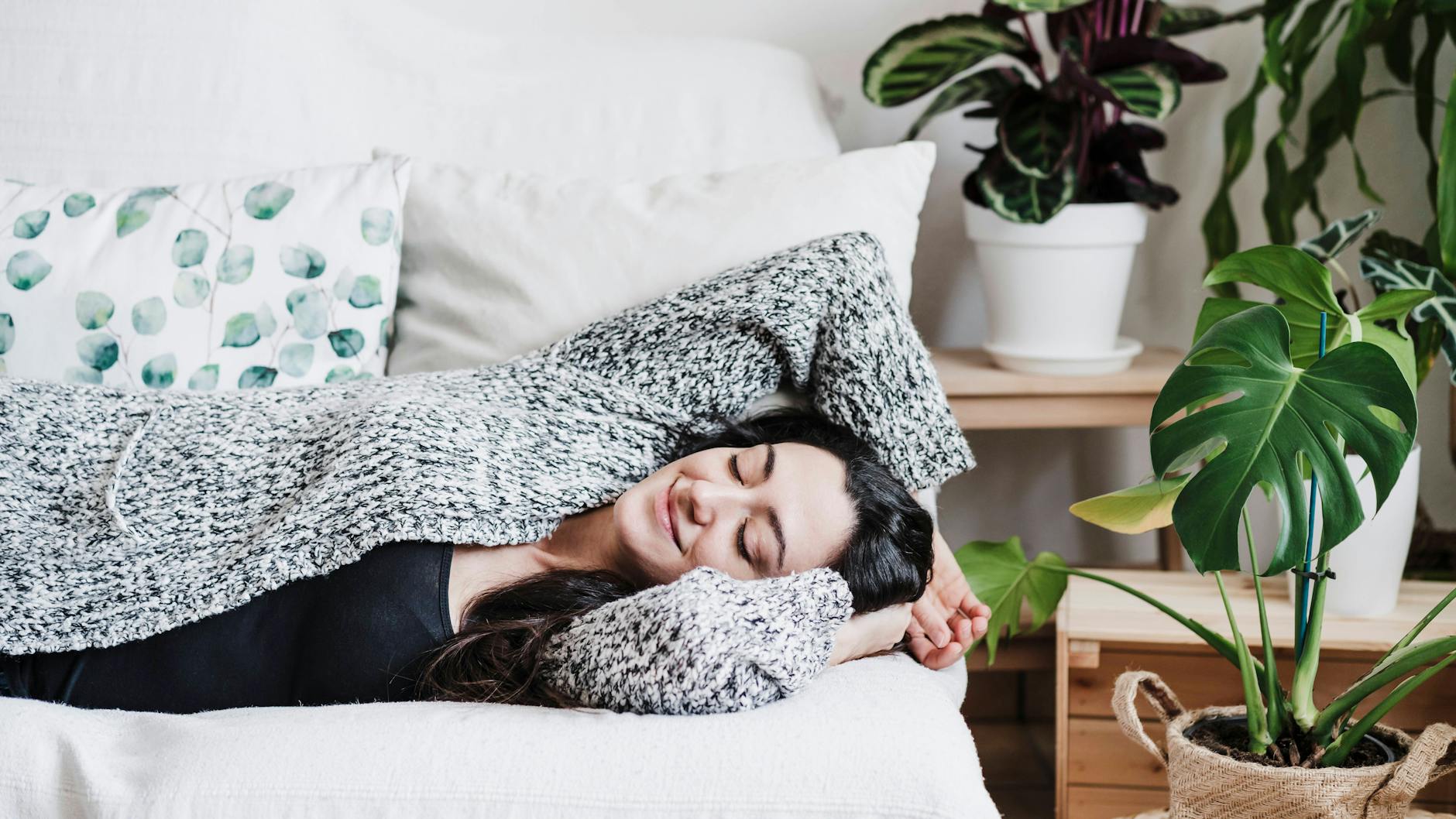 Pflanzen bringen Atmosphäre in die Wohnung. Angesagt sind vor allem großblättrige Grünpflanzen, wie etwa das sogenannte Fensterblatt vorn.