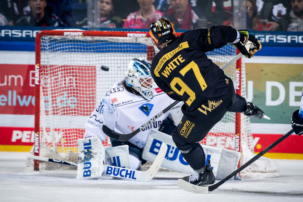 Matt White: Der Eisbär mit der Tornase