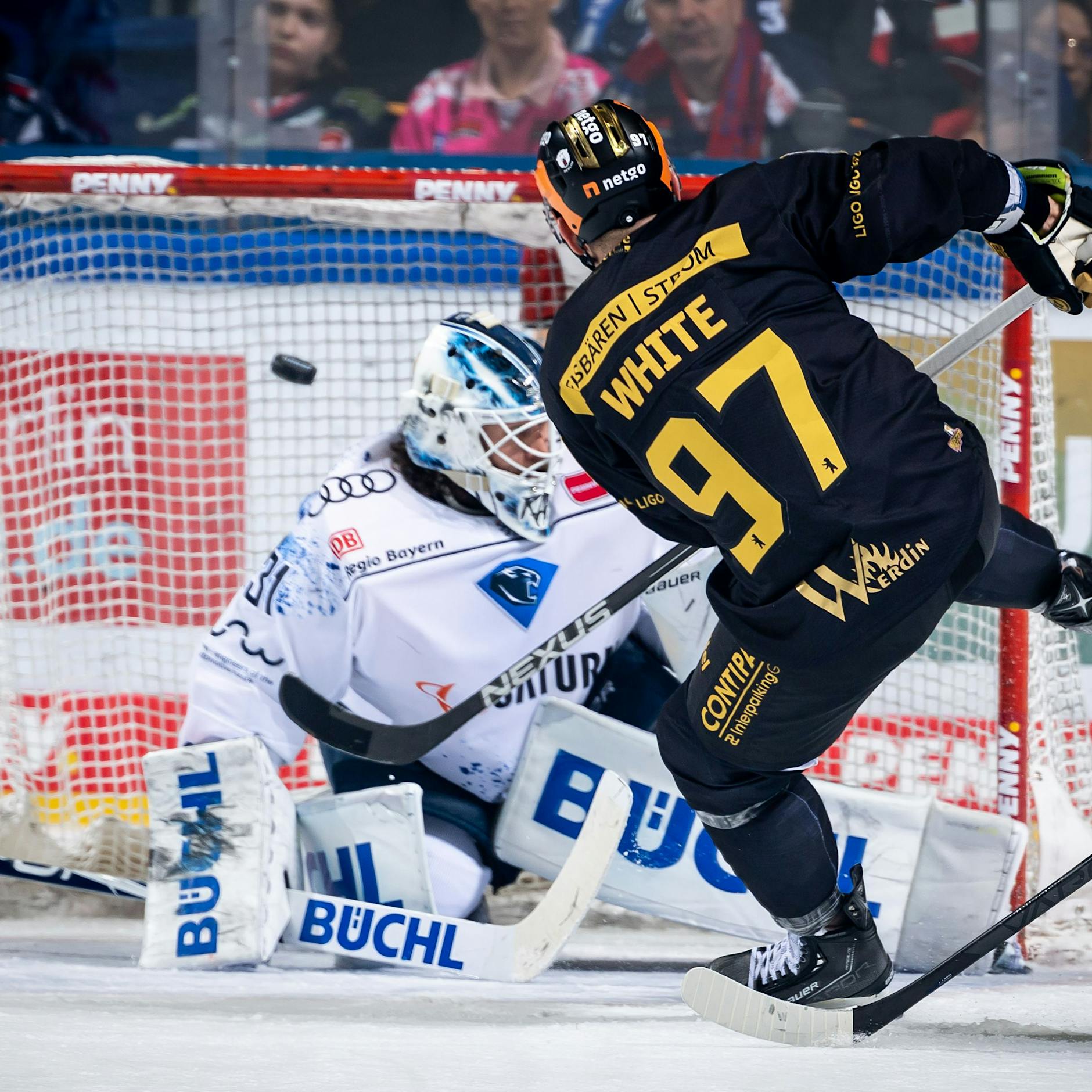 Matt White: Der Eisbär mit der Tornase