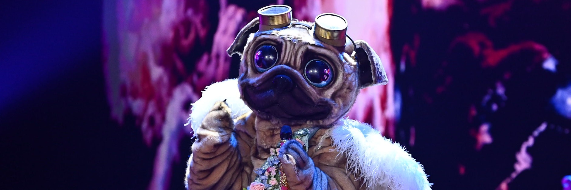 Wer steckt wohl bei „The Masked Singer“ im Mops-Kostüm? 