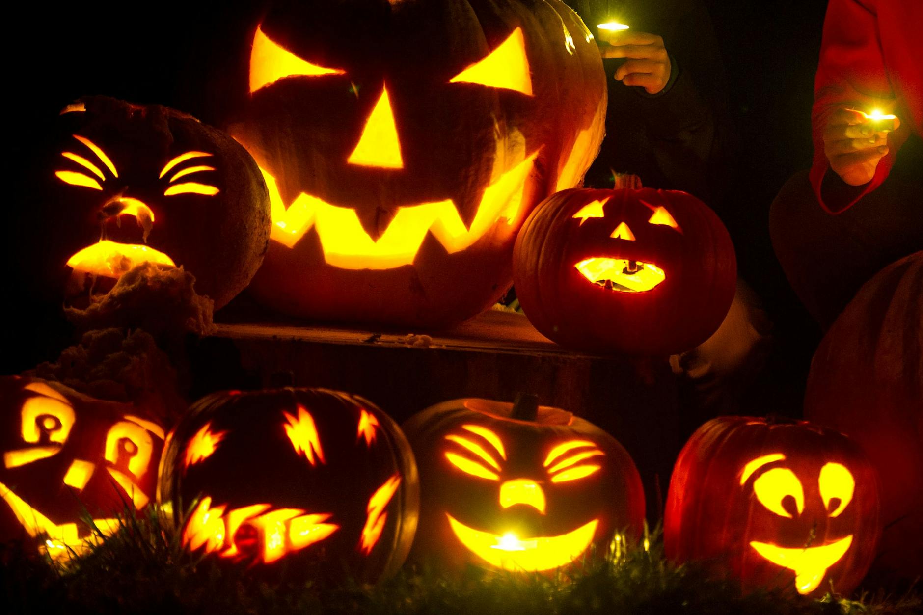 Anselm Neft stellt bis Halloween die auffälligsten Horrorfilme vor.