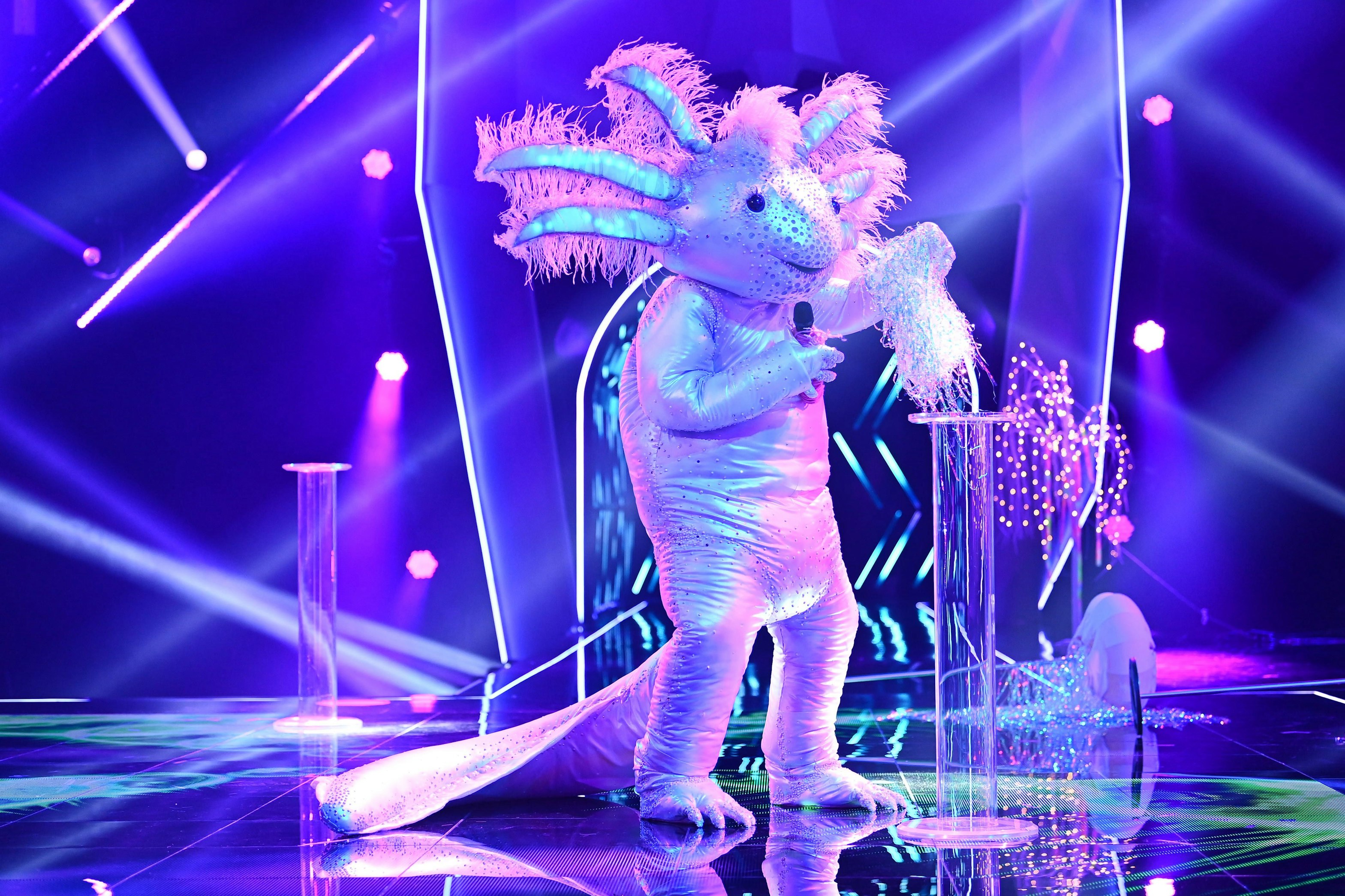 The Masked Singer Ist Der Nachste Promi Aufgeflogen Eindeutige Hinweise Diese Komikerin Steckt Im Axolotl Kostum