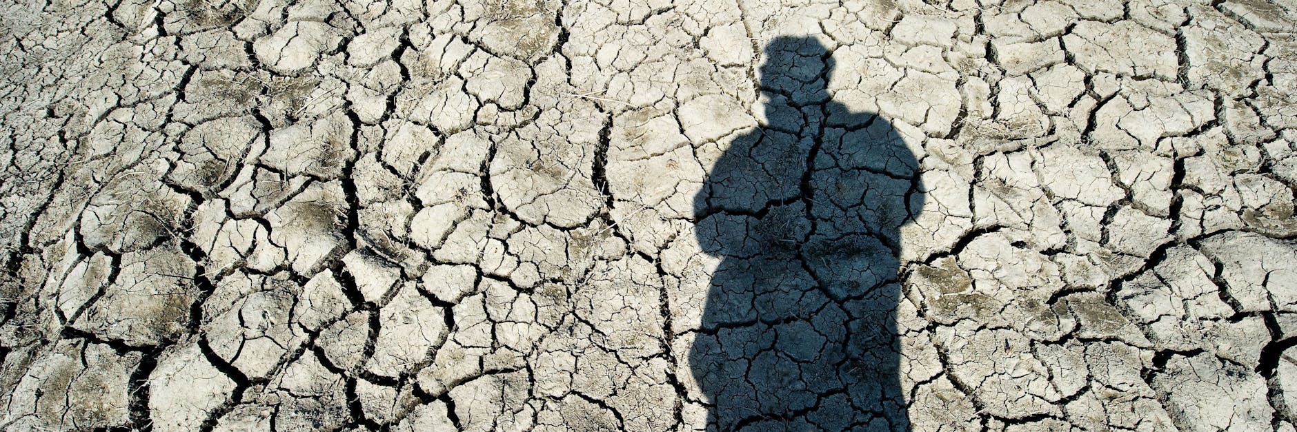 Brandenburg: Die wiederkehrende Trockenheit macht Landwirten, Gärtnern, Obst- und Gemüsebauern zu schaffen. In Zukunft drohen Konflikte um das Trinkwasser.