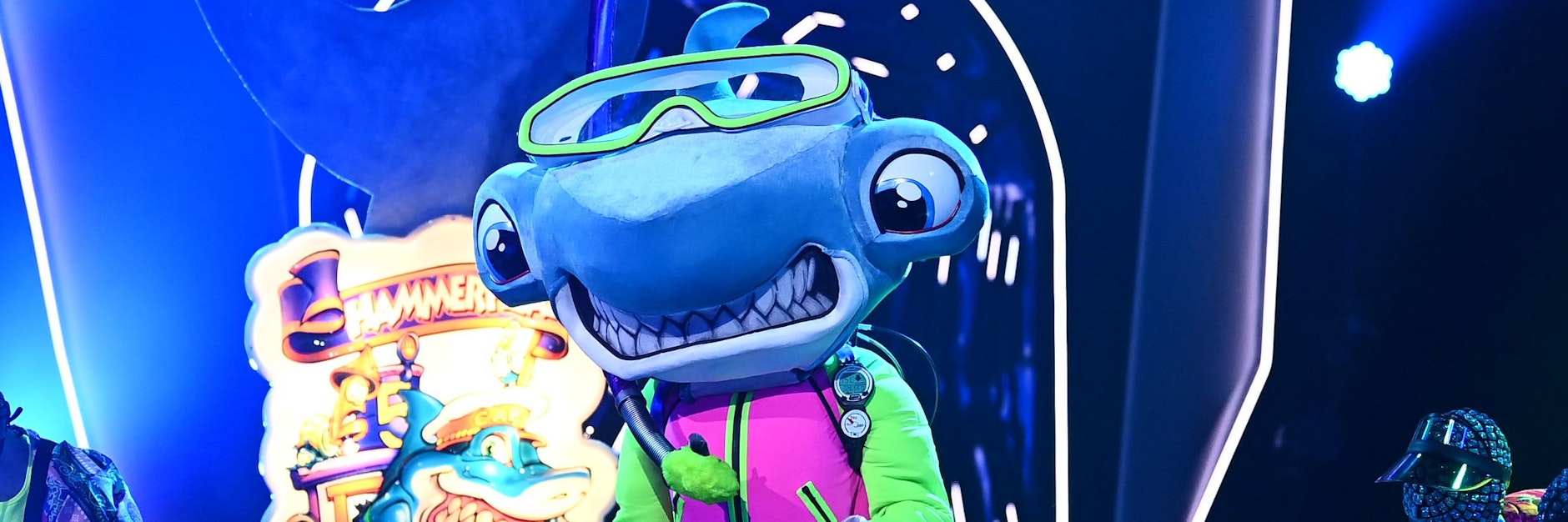 Gehört zu den Kandidaten bei The Masked Singer: Der Hammerhai.