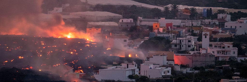 La Palma Mysterioses A Team Will Von Lava Bedrohte Hunde Gerettet Haben