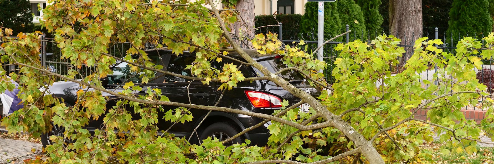 Im Stadtteil Lichterfelde hat der Sturm einen großen Ast von einem Baum gerissen. Der Ast ist auf ein Auto gefallen.