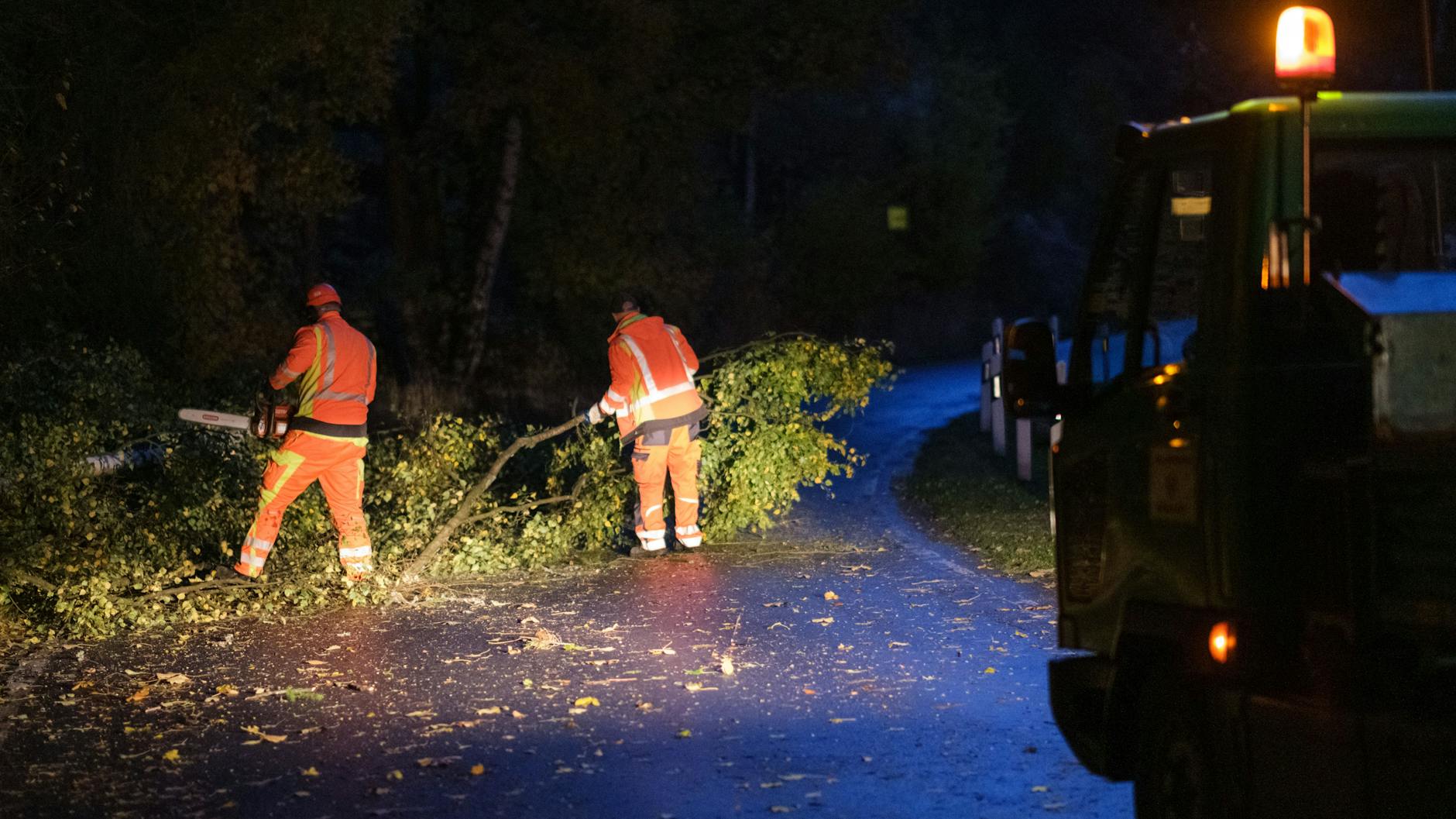 In Schierke im Harz entfernen Arbeiter einen umgestürzten Baum von der Straße.