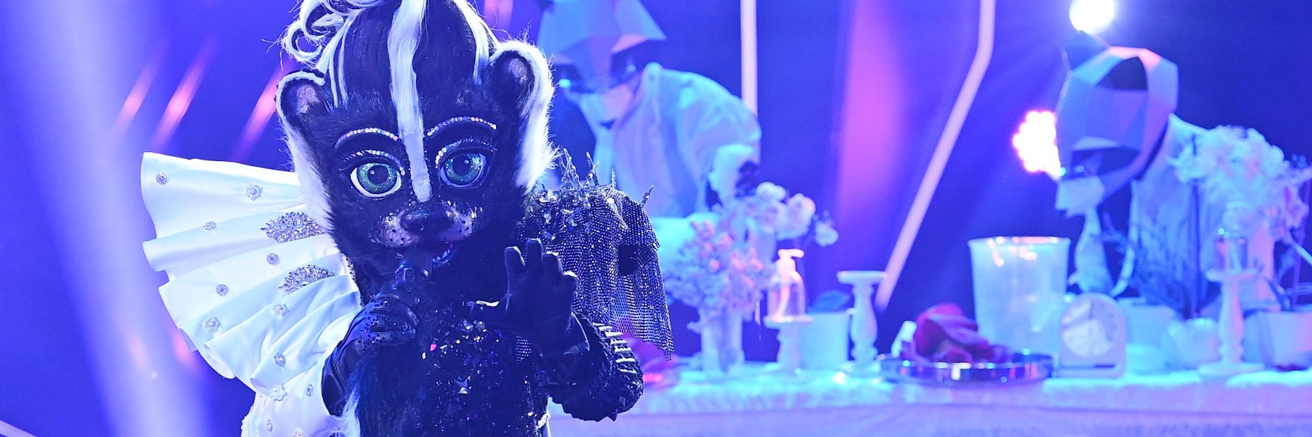 Das Stinktier sang bei „The Masked Singer“ den 80er-Hit „I like Chopin“ von Gazebo.