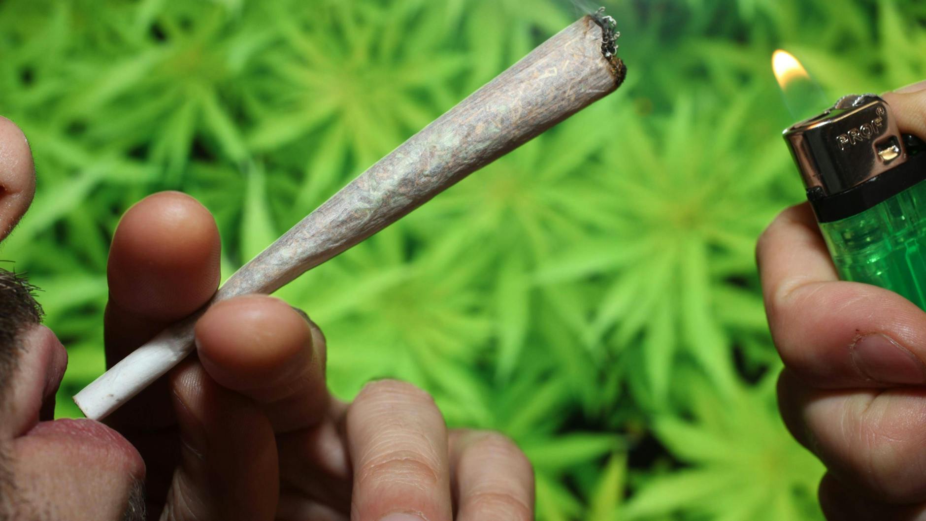 Cannabis, auch Gras oder Weed, ist in der Mitte der Gesellschaft angelangt. Um den Konsum nun auch zu entkriminalisieren, soll er künftig nur noch als Ordnungswidrigkeit gelten, findet der Chef des BDK. 