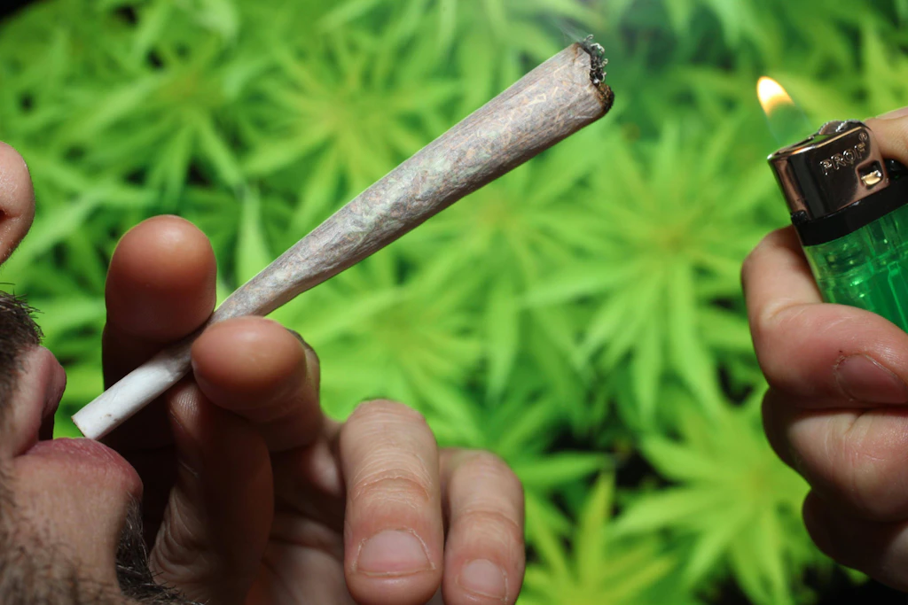Bund Deutscher Kriminalbeamter für Cannabis-Legalisierung