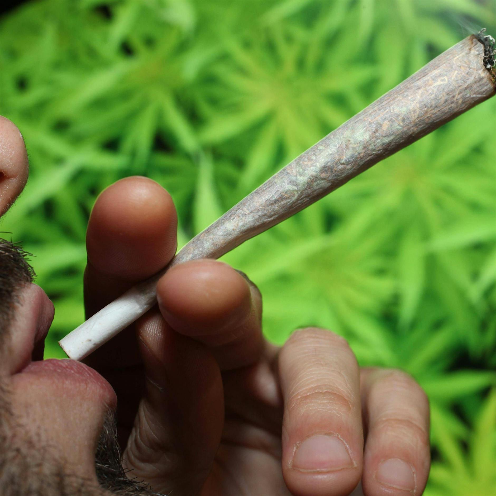 Bund Deutscher Kriminalbeamter für Cannabis-Legalisierung