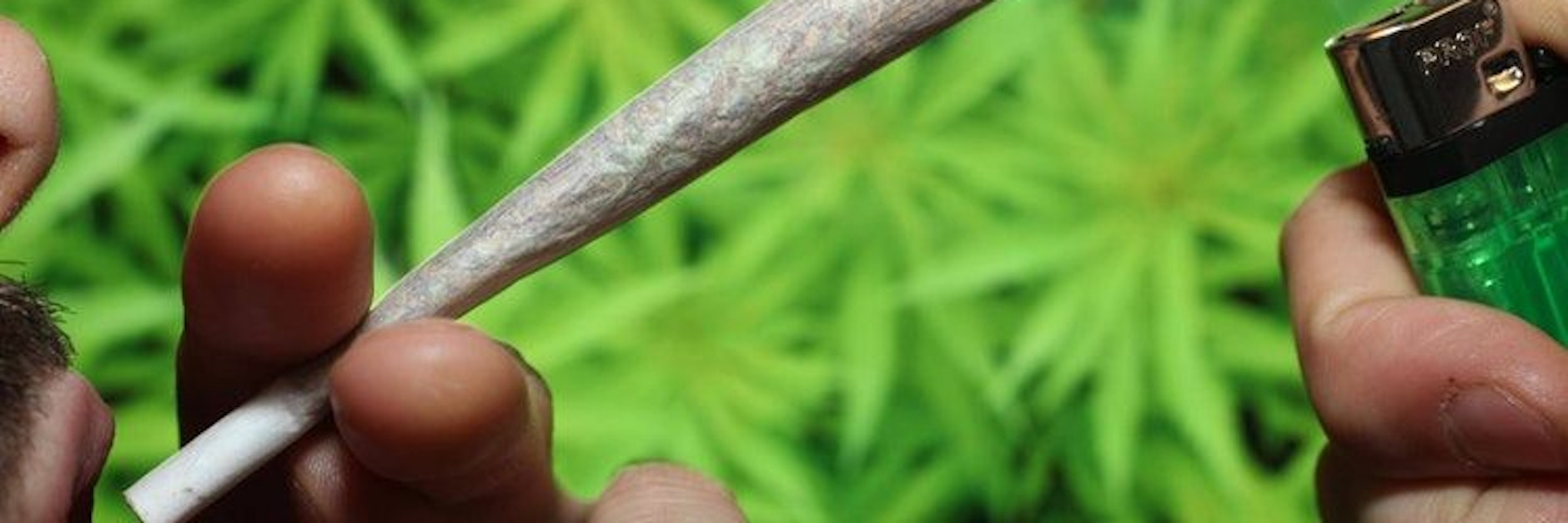 Cannabis-Konsum sollte nach der Meinung des BDK-Chefs künftig nur noch als Ordnungswidrigkeit geahndet werden.