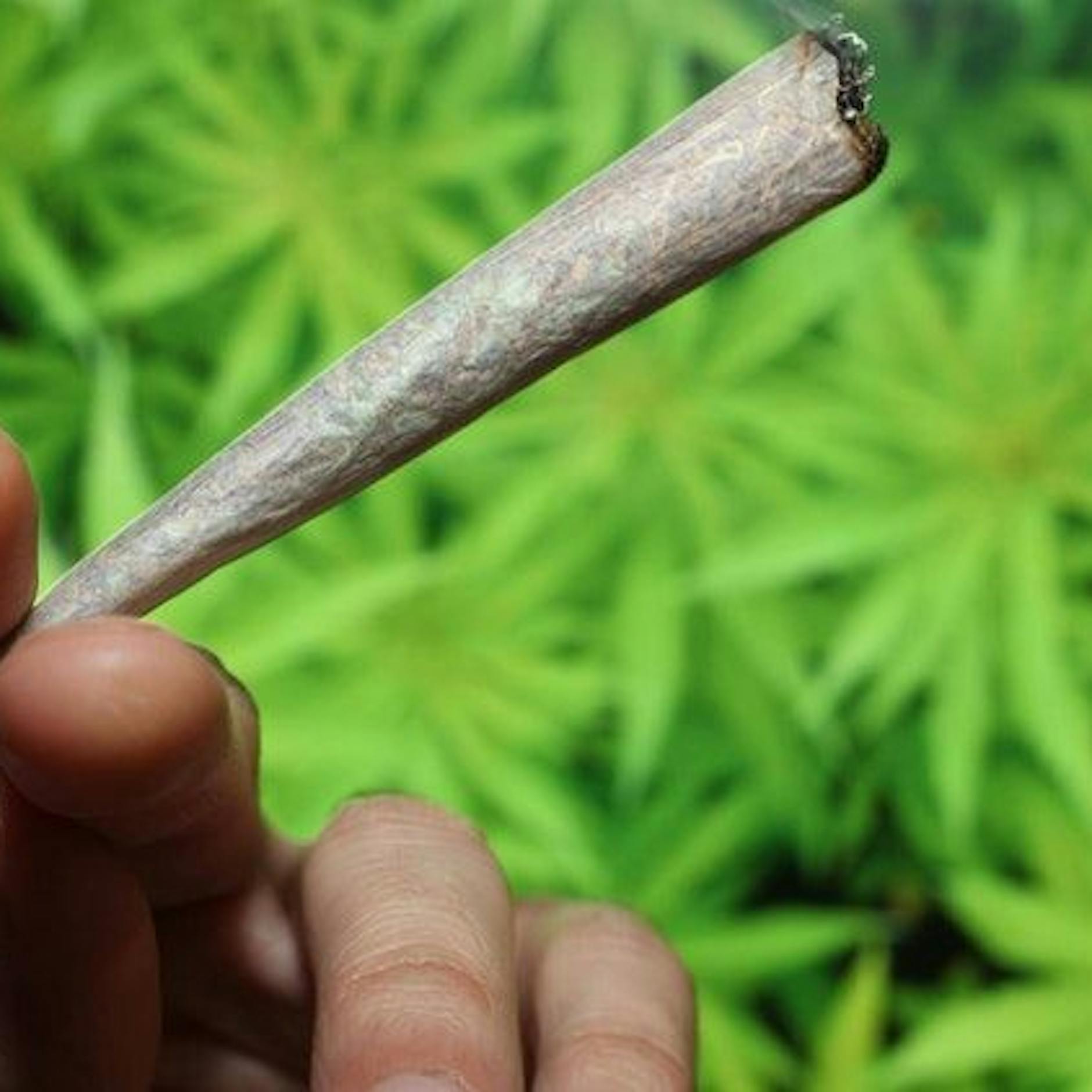 Streit ums Kiffen: Kriminalbeamte für Cannabis-Legalisierung