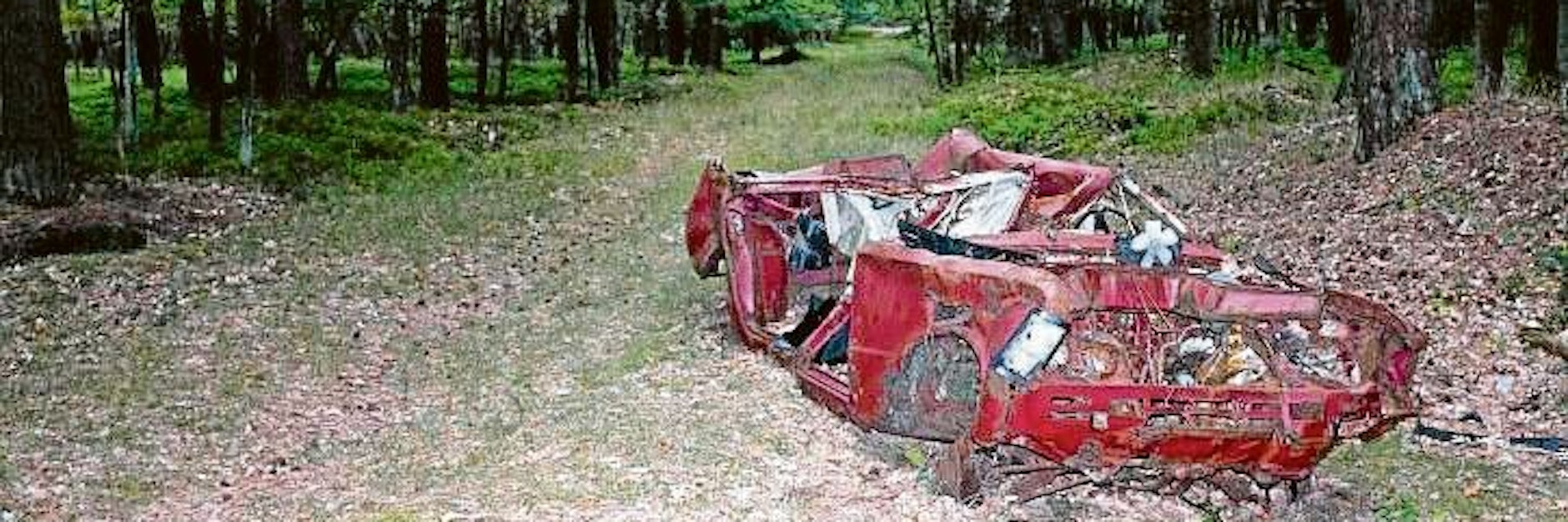 Der Auto-Schrott landet auch in den Wäldern rund um Berlin.