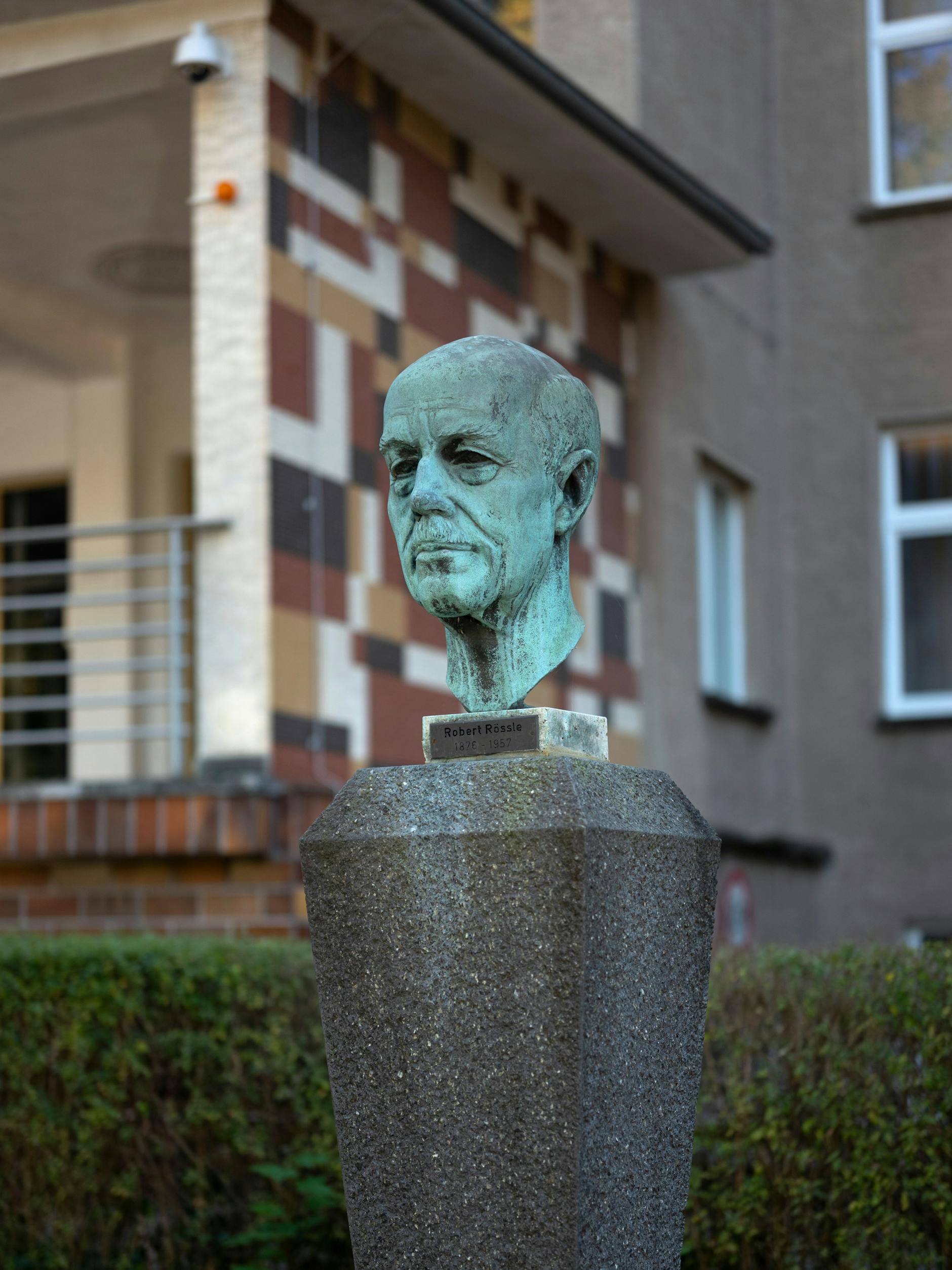 Bildnis von Robert Rössle in Buch