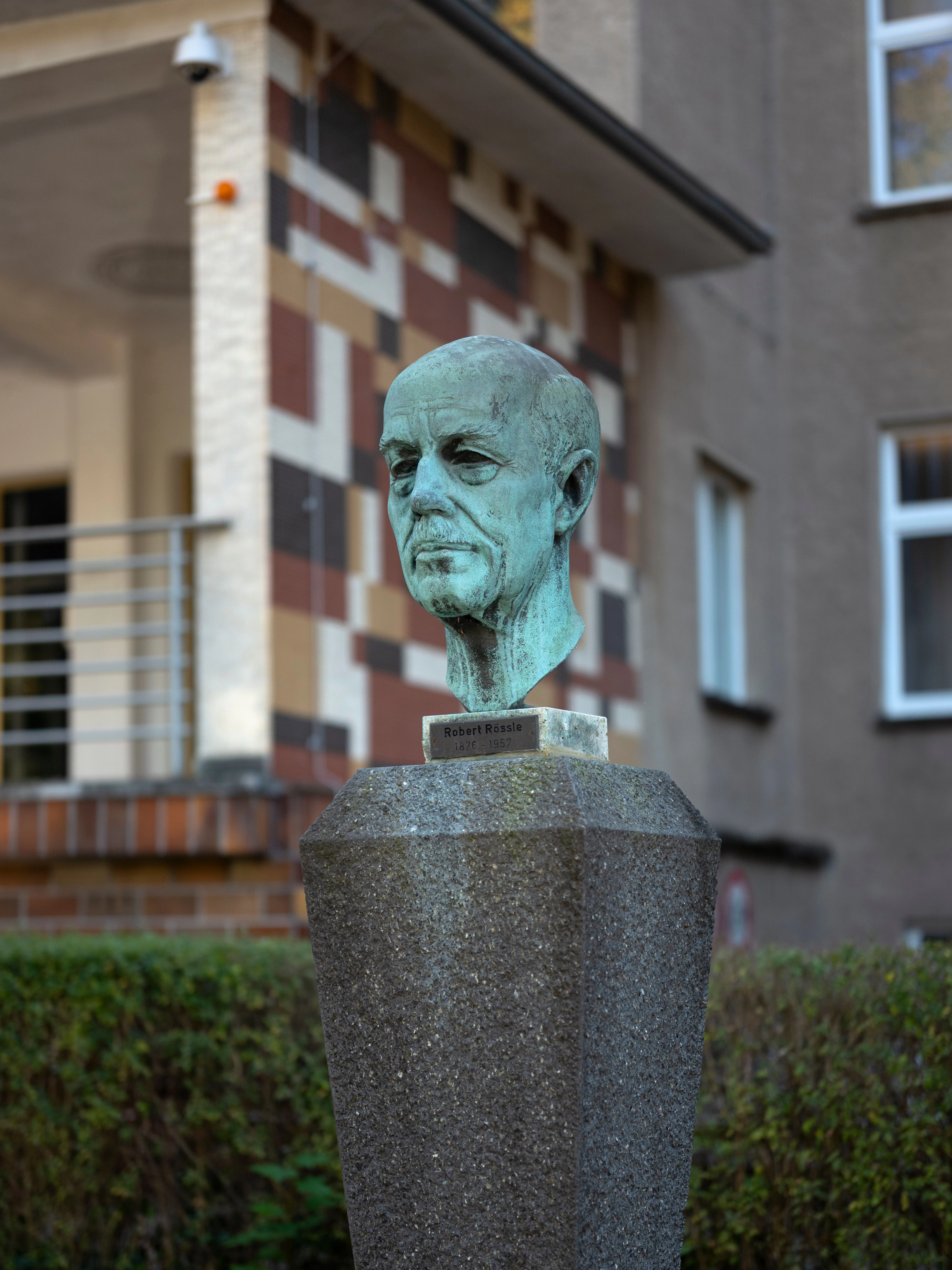 Bildnis von Robert Rössle in Buch