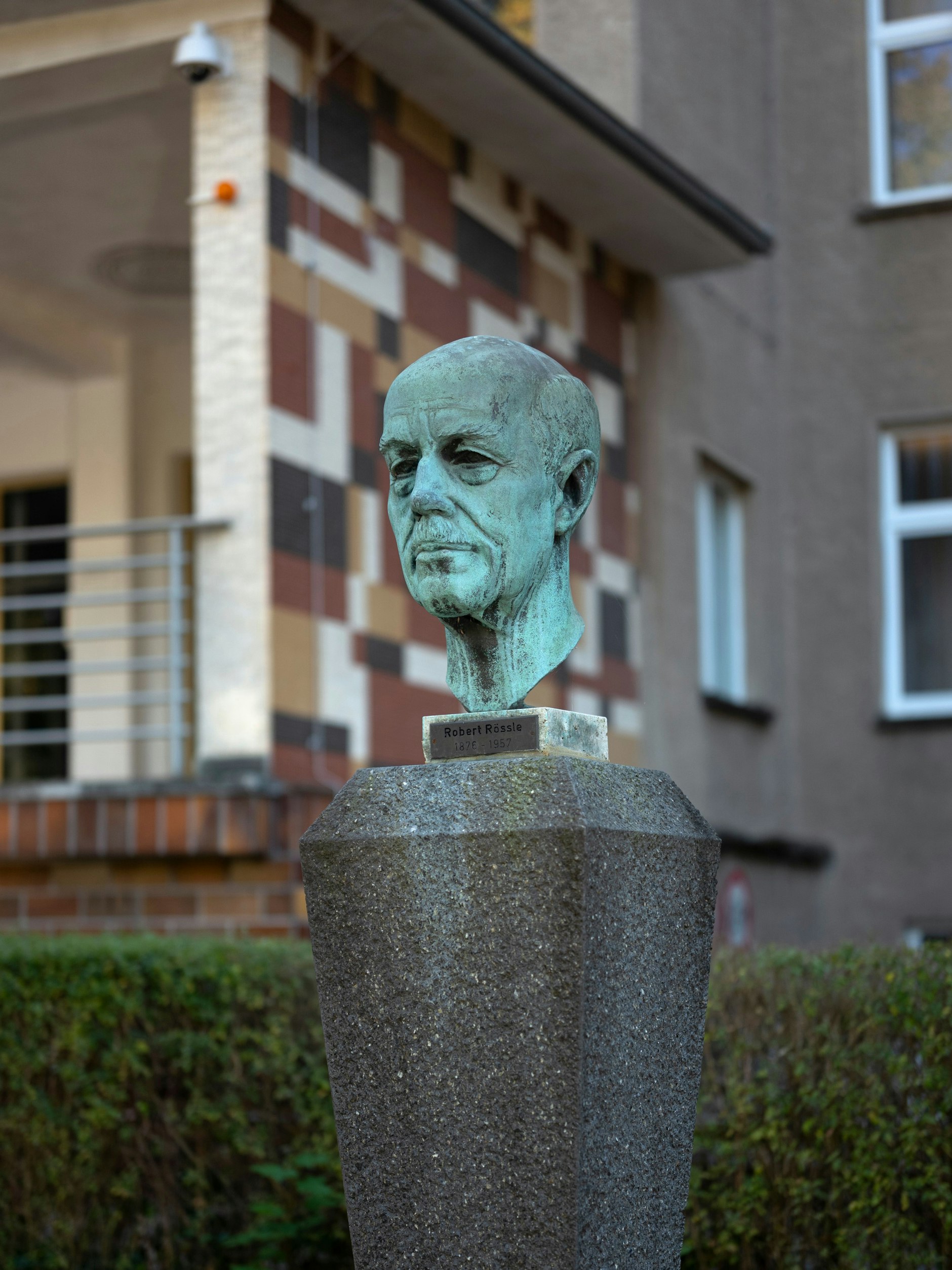 Bildnis von Robert Rössle in Buch