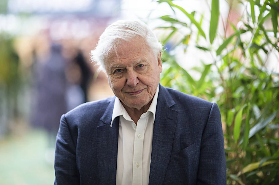 Sir David Attenborough appelliert vor der Klimakonferenz COP26 an die Staatschefs (Archivbild).