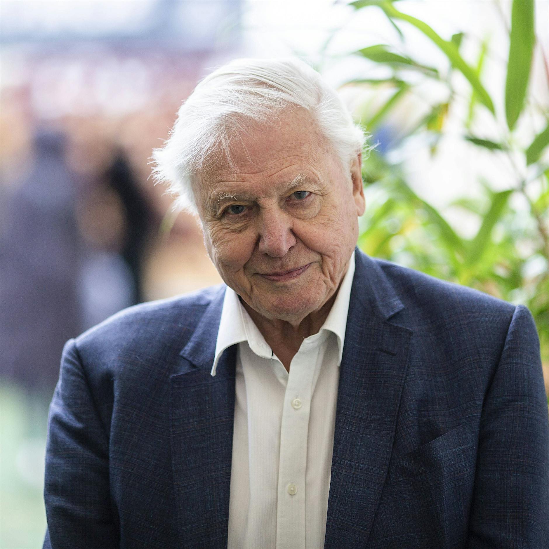 Attenborough zu Klimakrise: „Wenn wir jetzt nicht handeln, ist es zu spät“