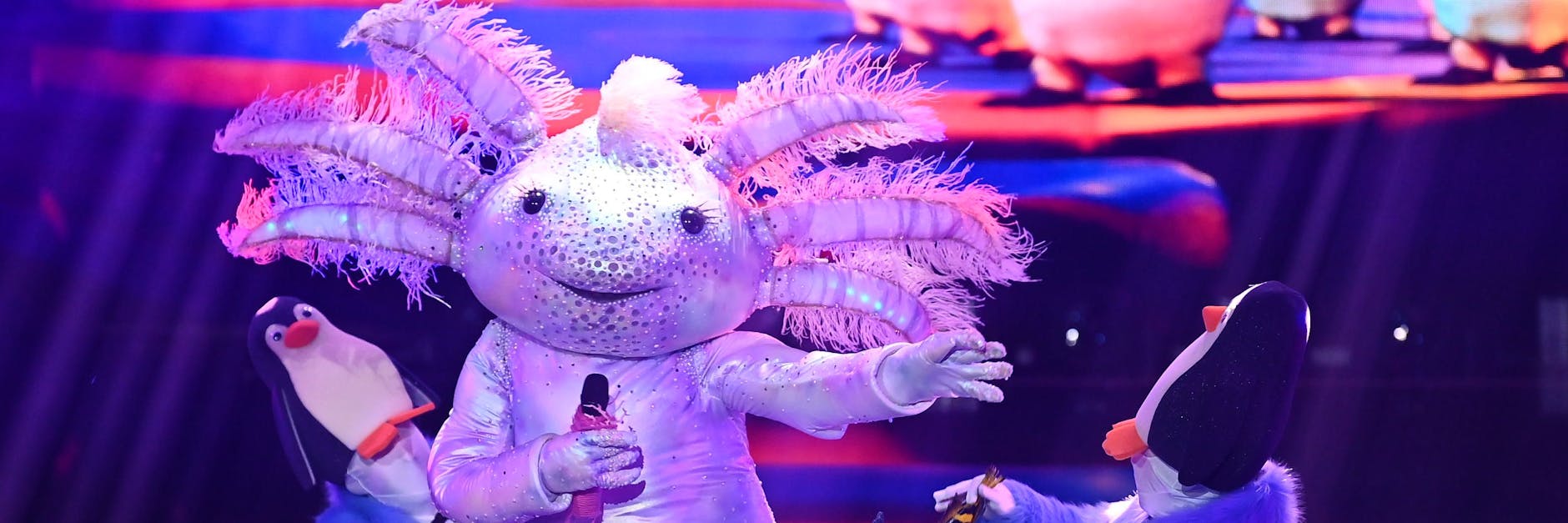 Das Axolotl beim Auftritt auf der Bühne von „The Masked Singer“. Welcher Star steckt wohl im Kostüm?