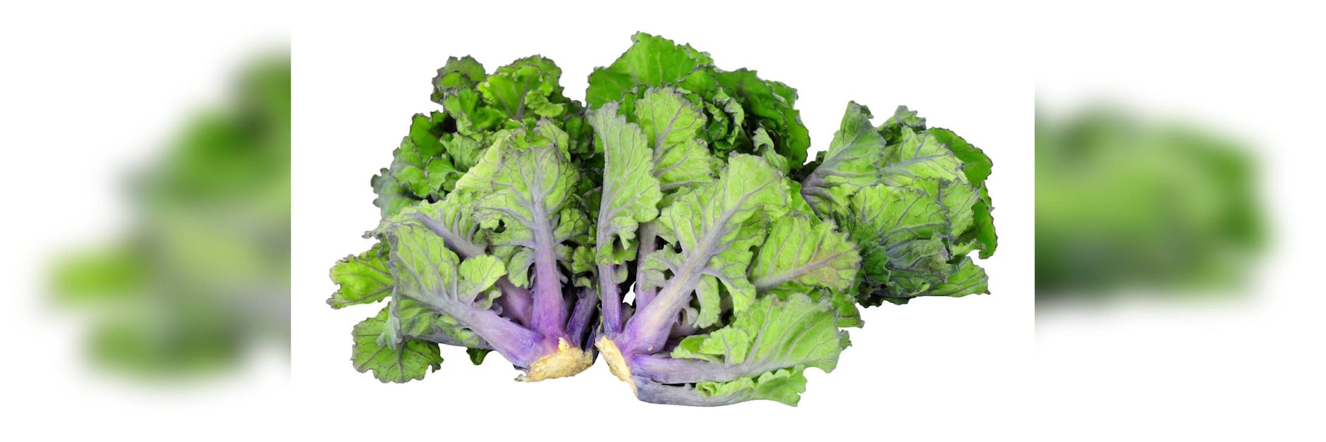 Kalettes sind eine Kreuzung aus Grünkohl und Rosenkohl.