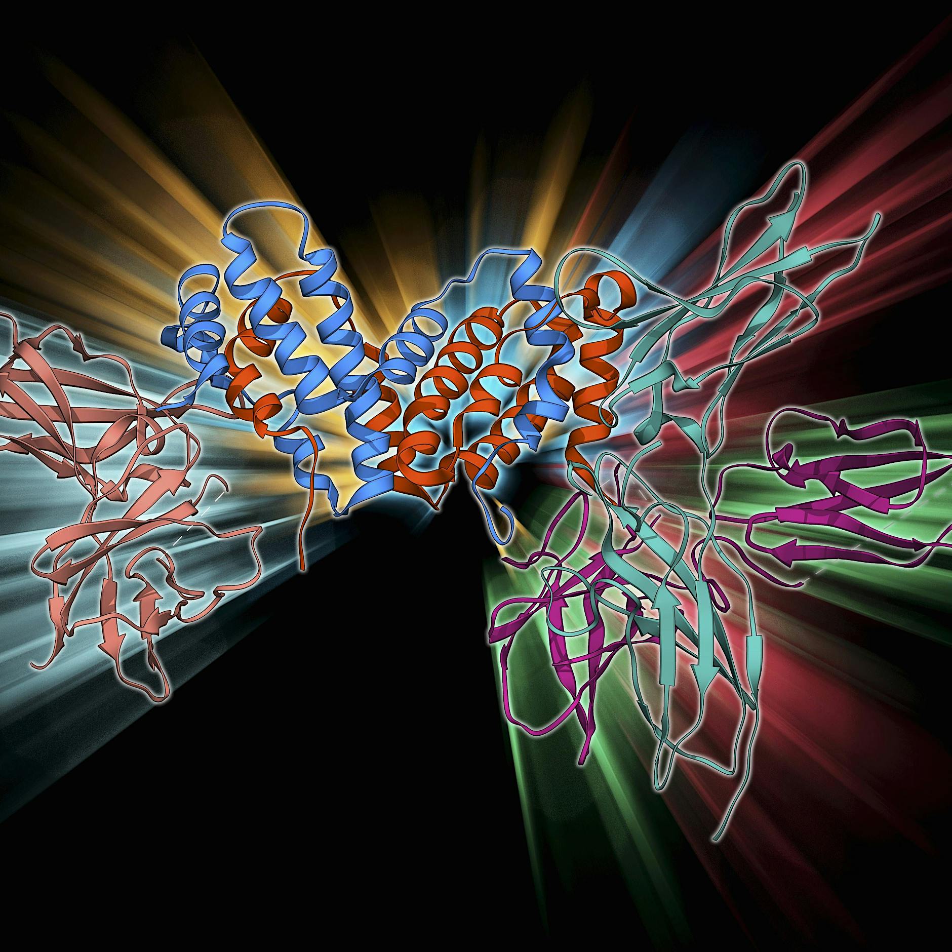 Berliner Forscher finden Ursache für schwere Covid-Verläufe