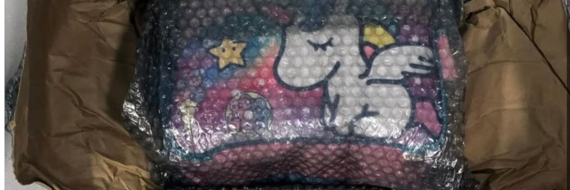 Drogen versteckt in einer&nbsp;„My Little Pony“-Pausenbrotschachtel.