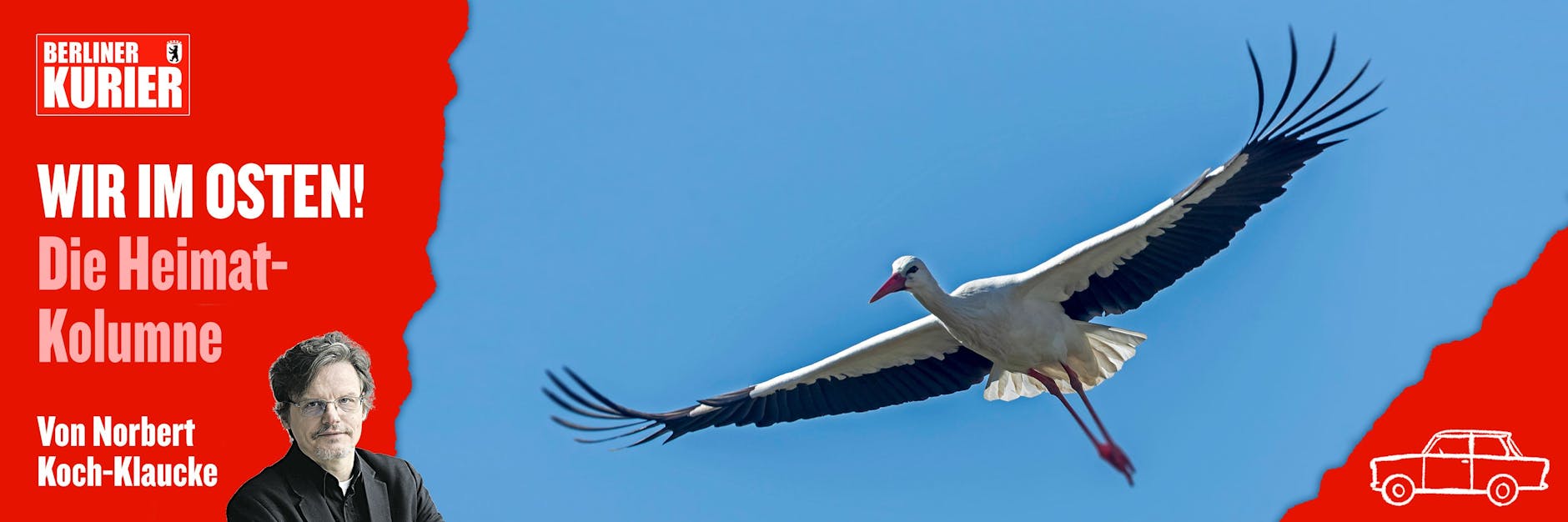Ein Weißstorch im eleganten Segelflug. Etwa 10.000 Kilometer lang ist ihre Reise nach Afrika.