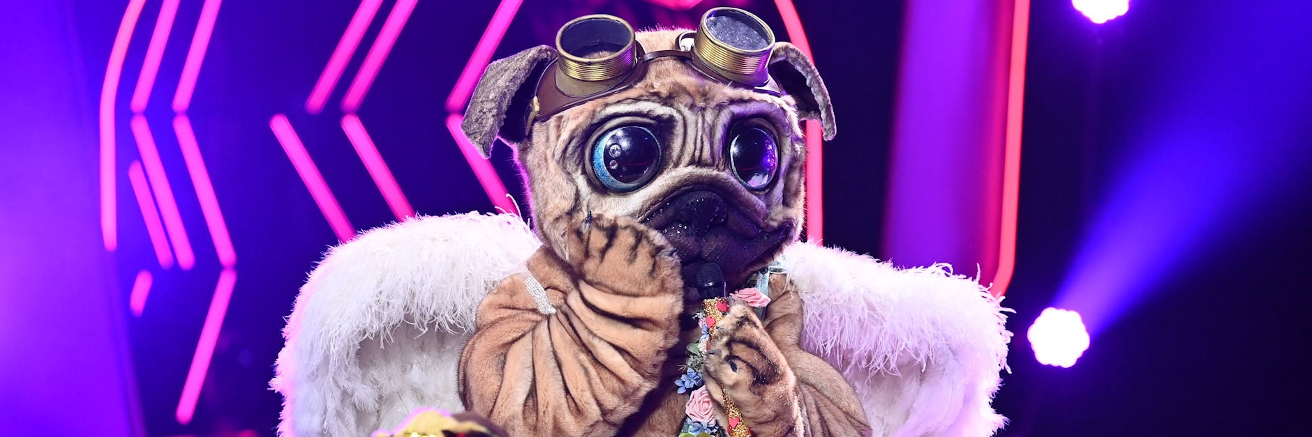 Das „Masked Singer“-Rateteam vermutet, dass Sängerin Jeannette Biedermann im Mops-Kostüm steckt.