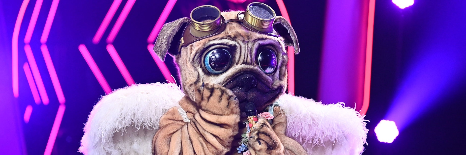 Der Mops gehört zu den Kandidaten der aktuellen Staffel. Das „Masked Singer“-Rateteam vermutet, dass Sängerin Jeannette Biedermann im Mops-Kostüm steckt.