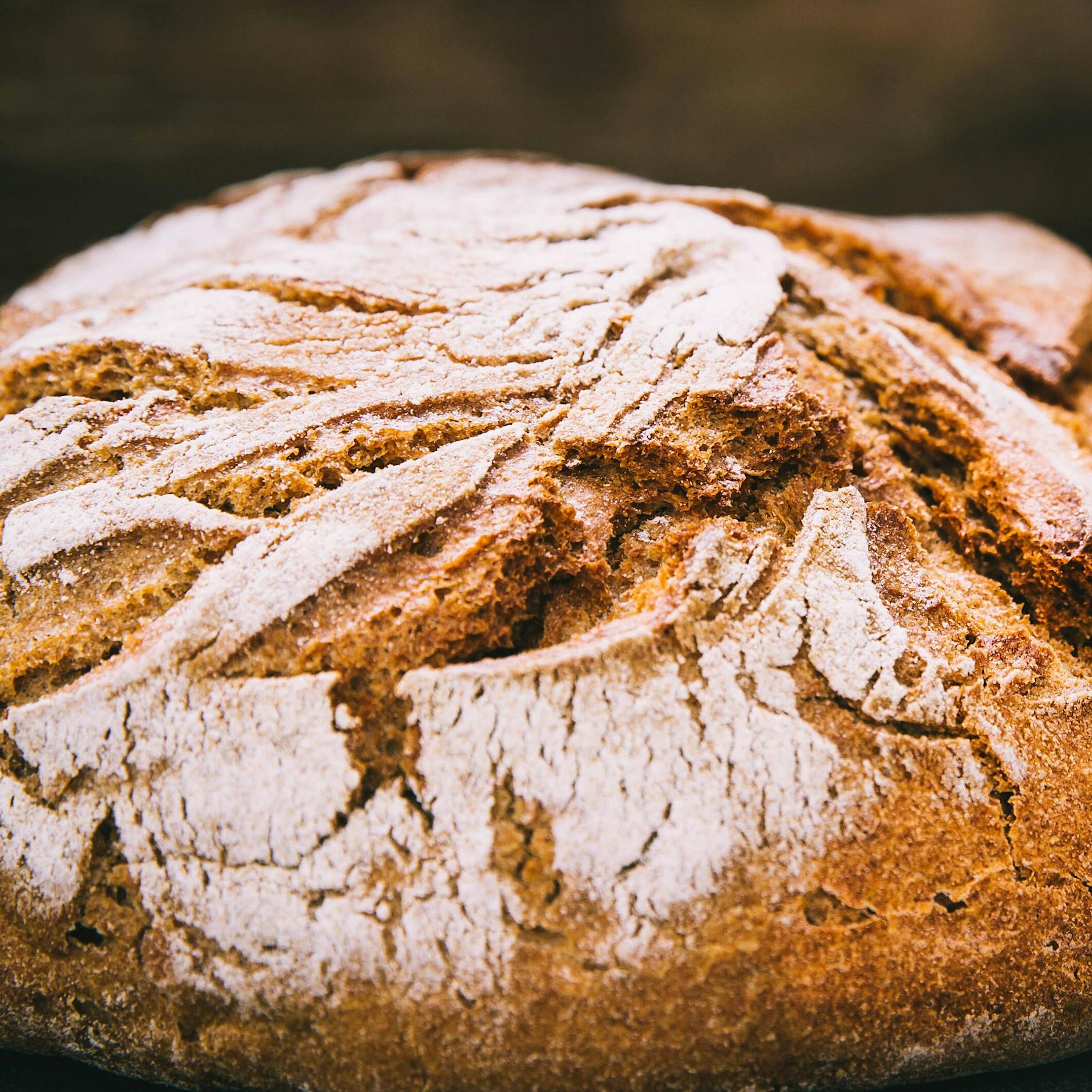 Selber Brot backen: Das einfachste Rezept der Welt! Mit nur fünf Zutaten zaubern Sie ganz fix ein knuspriges, schnelles Mischbrot