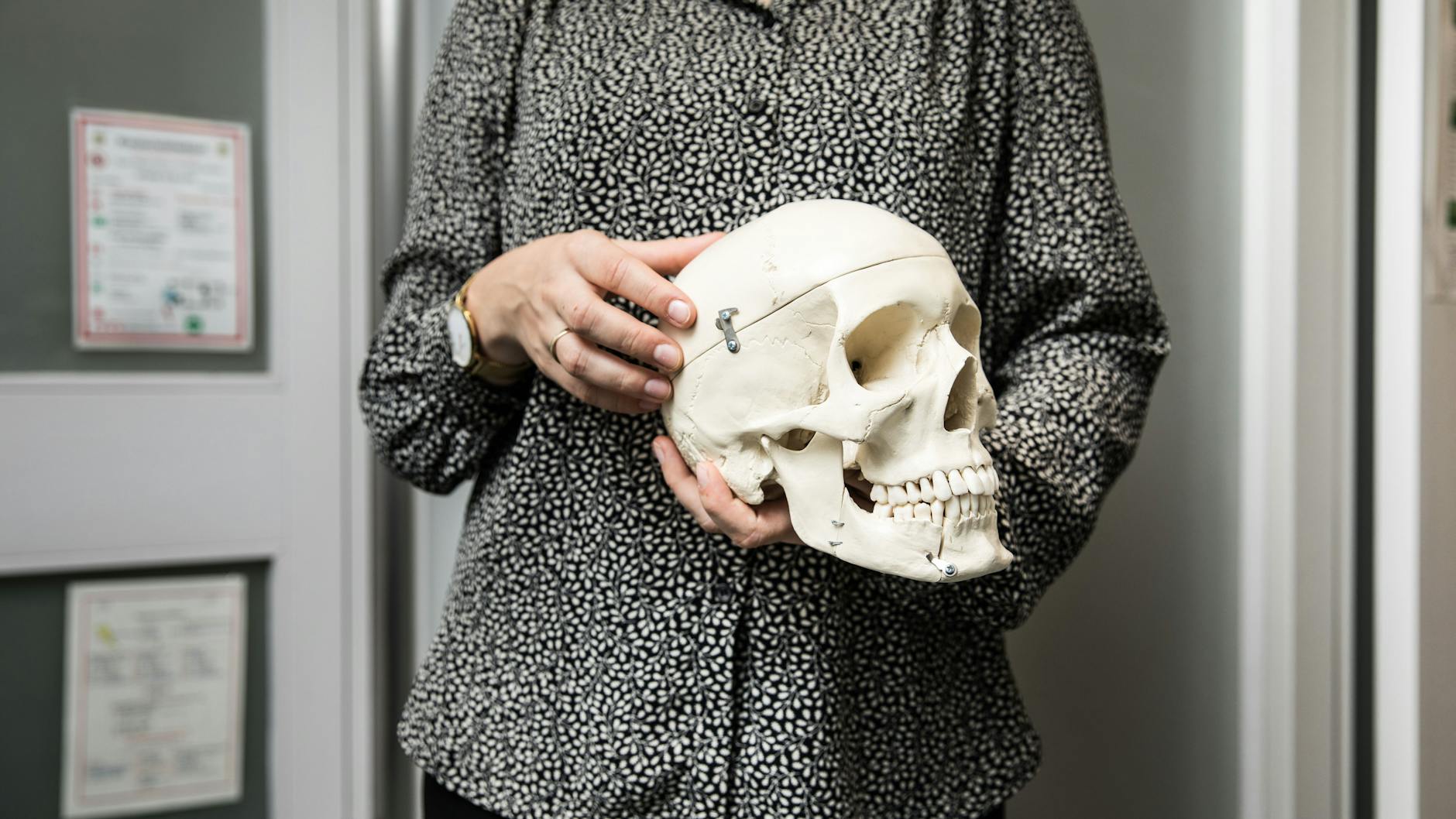 Der menschliche Schädel bildet die Grundlage für die morphologischen Merkmale eines Gesichtes. Zu diesen zählt unter anderem die Form der Augenhöhlenränder.