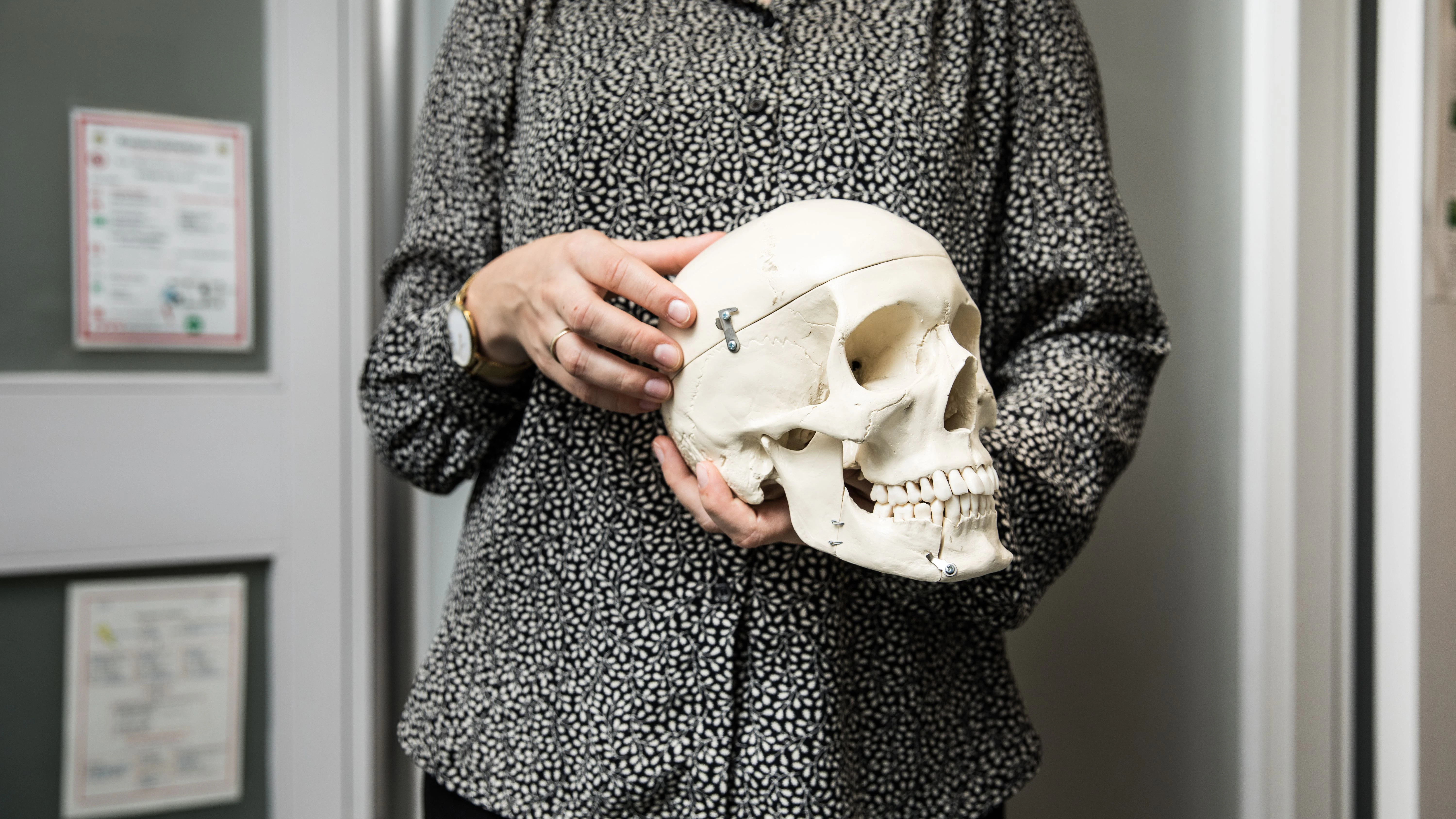 Der menschliche Schädel bildet die Grundlage für die morphologischen Merkmale eines Gesichtes. Zu diesen zählt unter anderem die Form der Augenhöhlenränder.