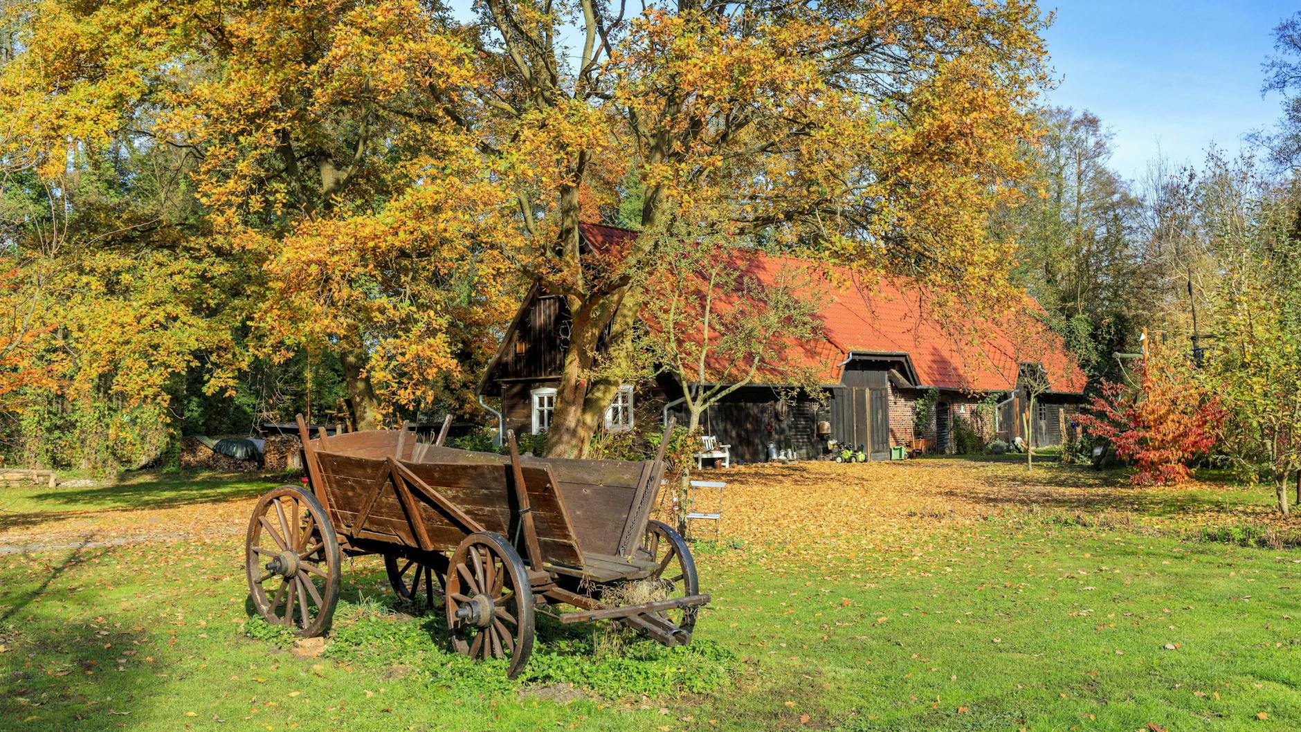 Ein typisches Spreewald-Haus aus Holz birgt die Hinterlassenschaften mehrerer Generationen: Plunder oder erhaltenswerte Familiengeschichte?