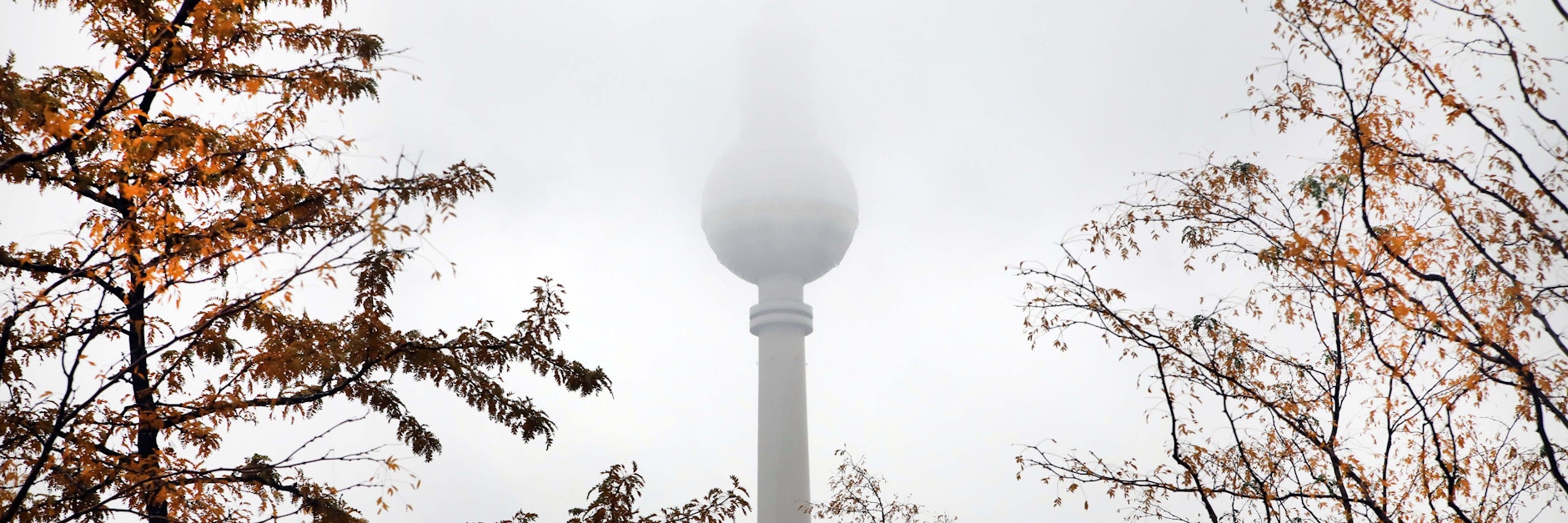 Nebel und Regen: jetzt kommt das fiese, nasskalte November-Wetter nach Berlin.