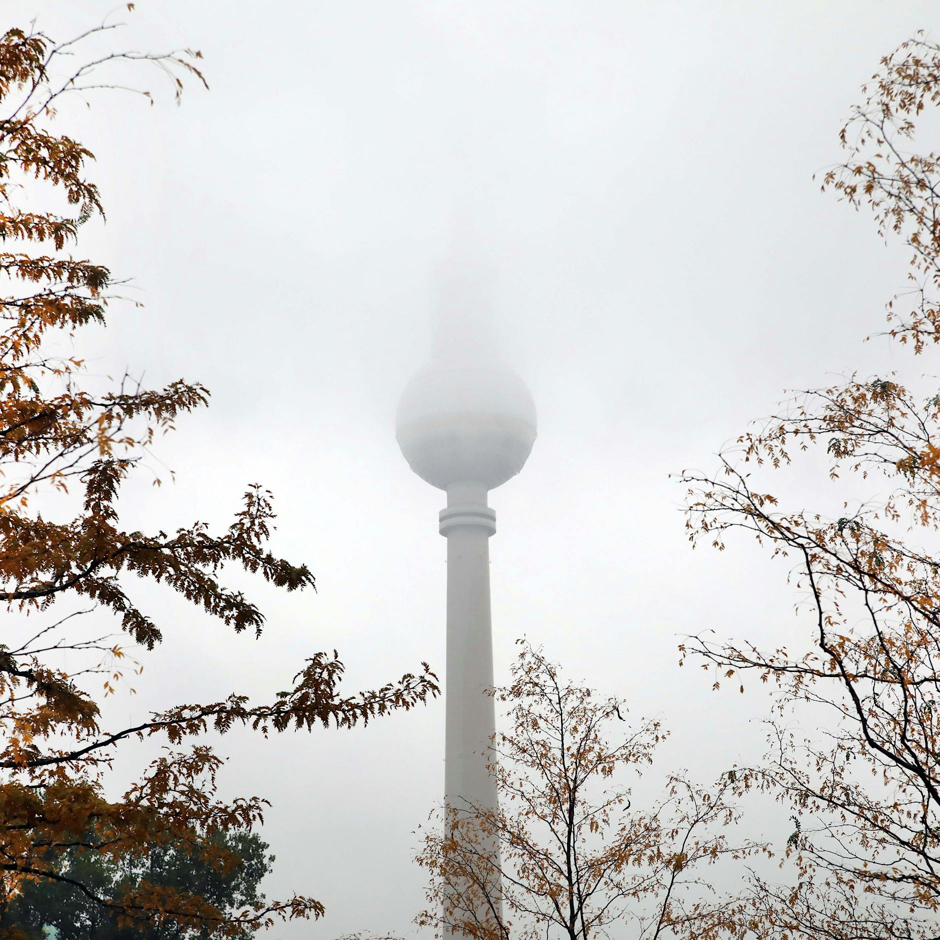 Jetzt wird das Wetter in Berlin richtig fies! Literweise Regen, Bibber-Temperaturen – bye-bye Goldener Herbst