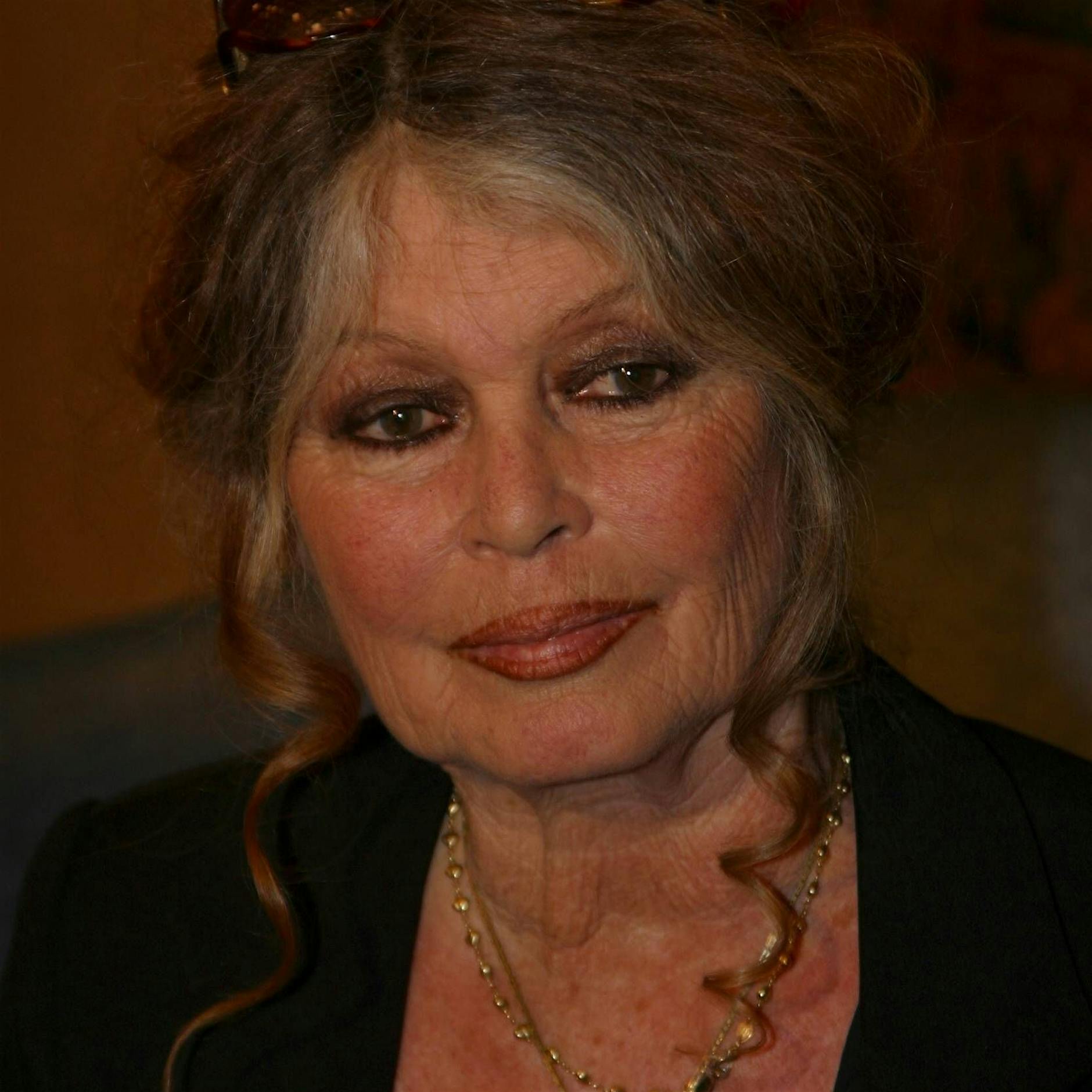 Brigitte Bardot wegen rassistischer Beleidigung verurteilt