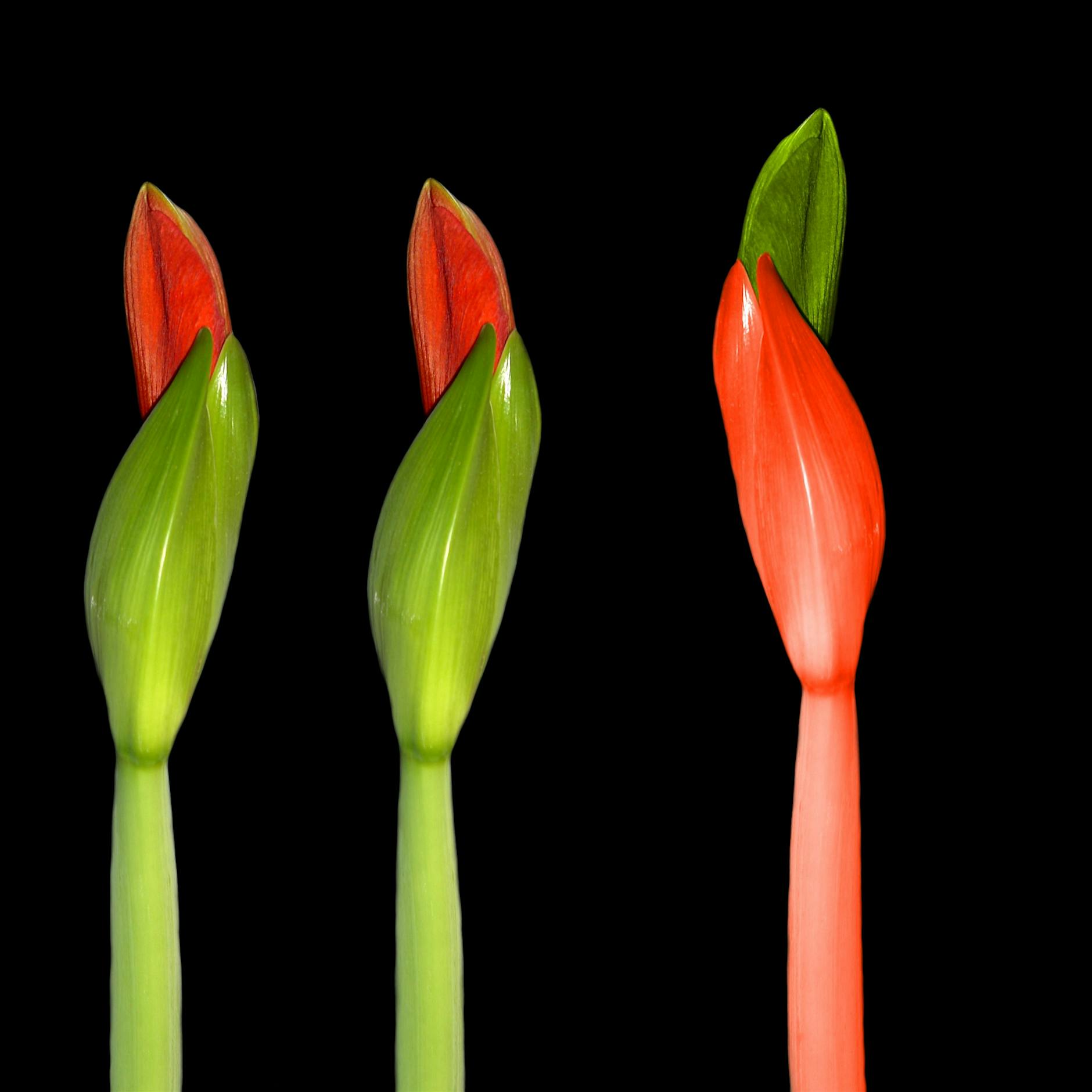 Bist du aus dem Osten?