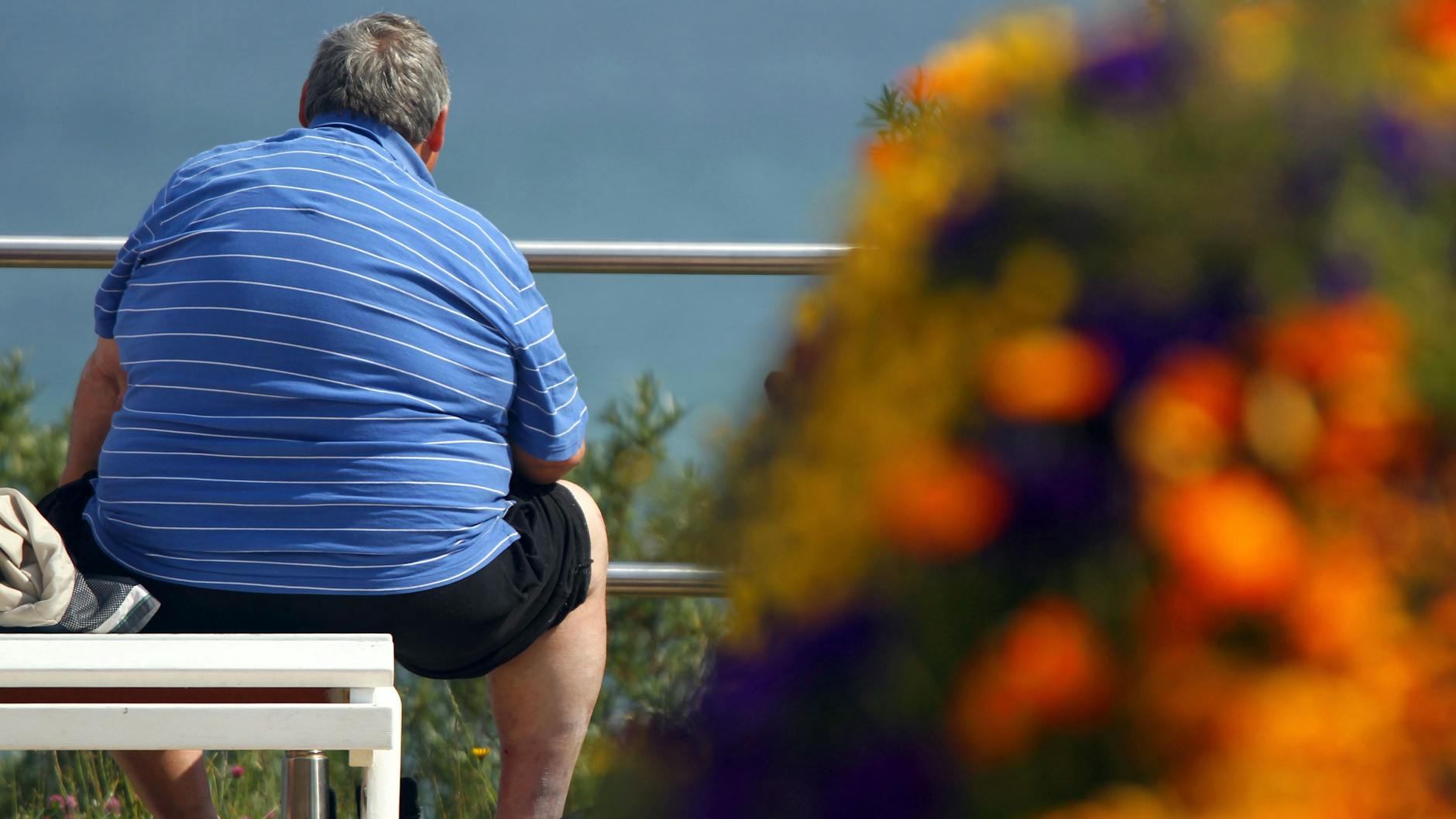 Immer mehr Menschen in Deutschland sind einer Studie zufolge fettleibig. 