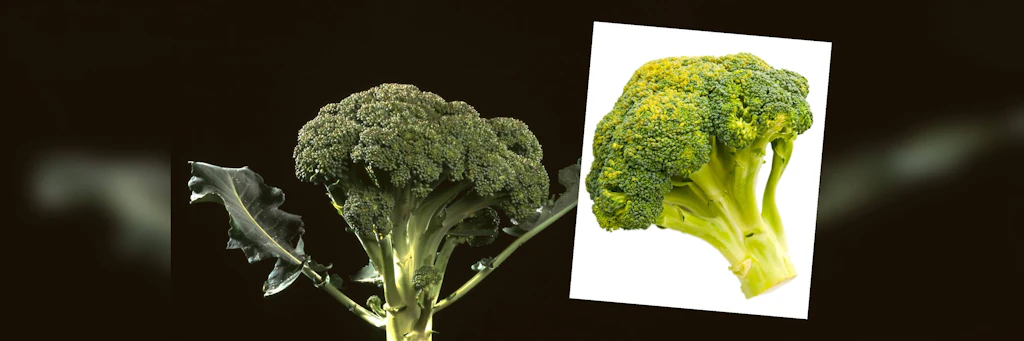 Kann ich Brokkoli noch essen, wenn er gelb ist? Und drei weitere Fakten über das leckere Superfood