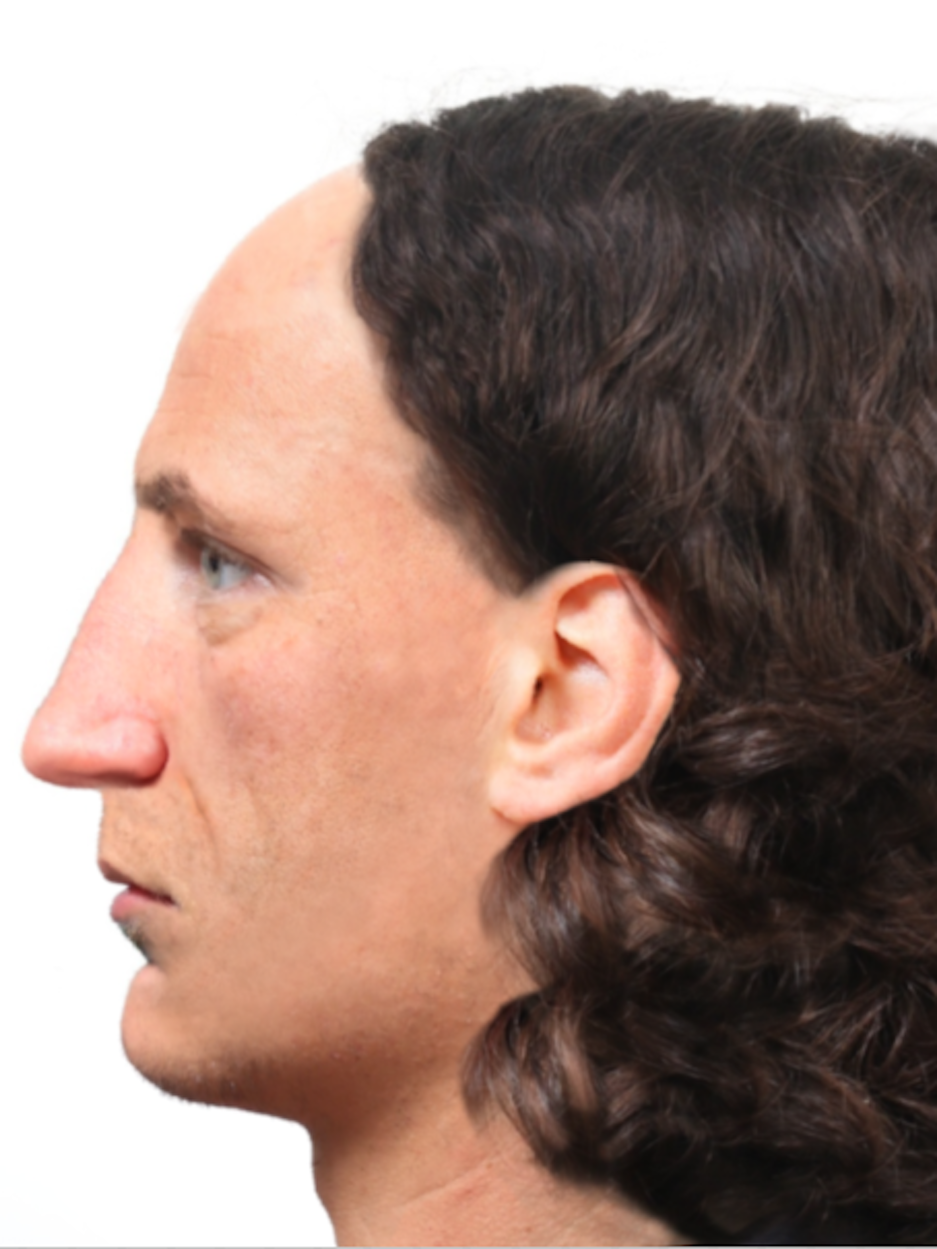 So könnte Leonardo da Vinci als Enddreißiger ausgesehen haben.