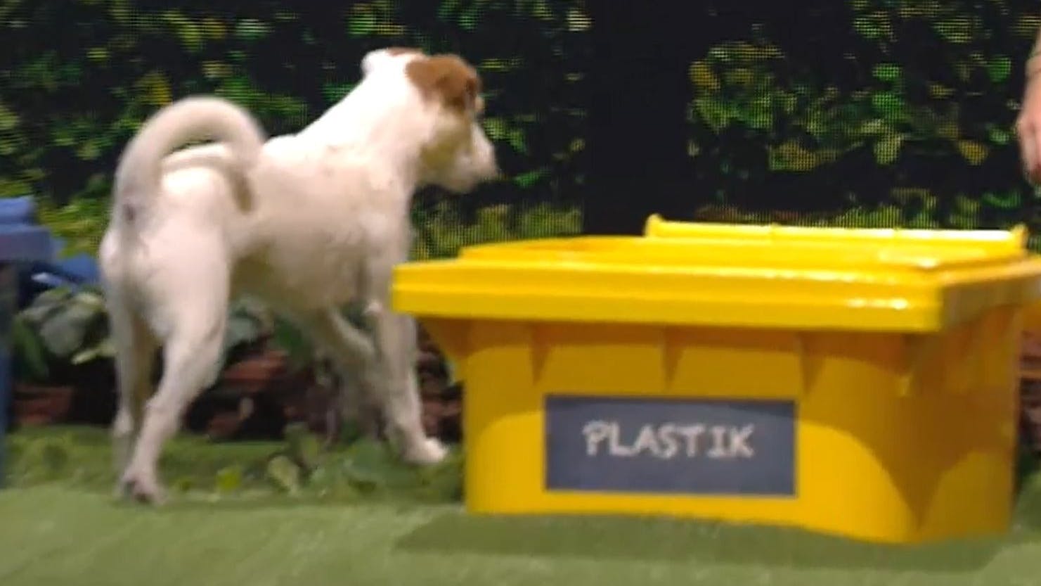 Kann Uno Müll trennen?