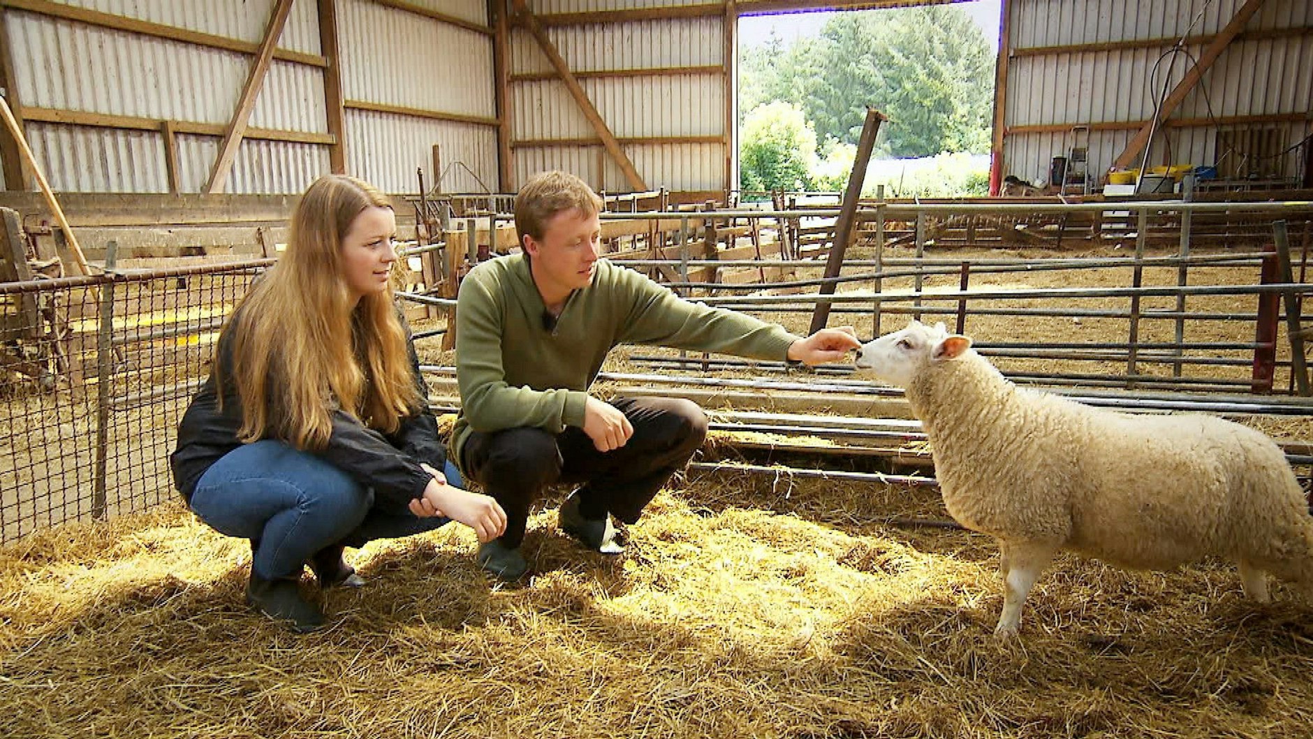 „Bauer sucht Frau“-Bauer Peter zeigt Saskia seine Lämmer.
