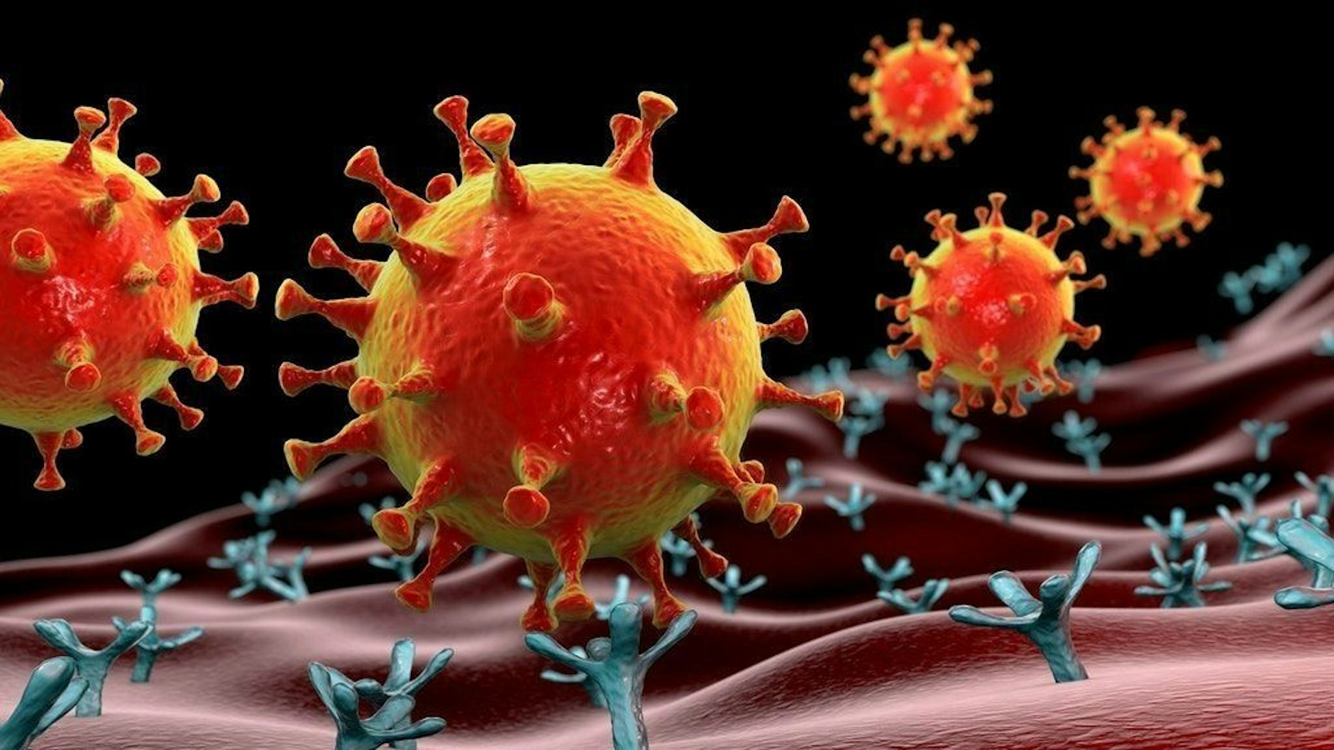 Das Coronavirus in einer Illustration